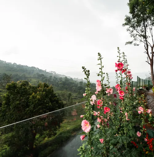 Escape to the Nilgiris with SaffronStays