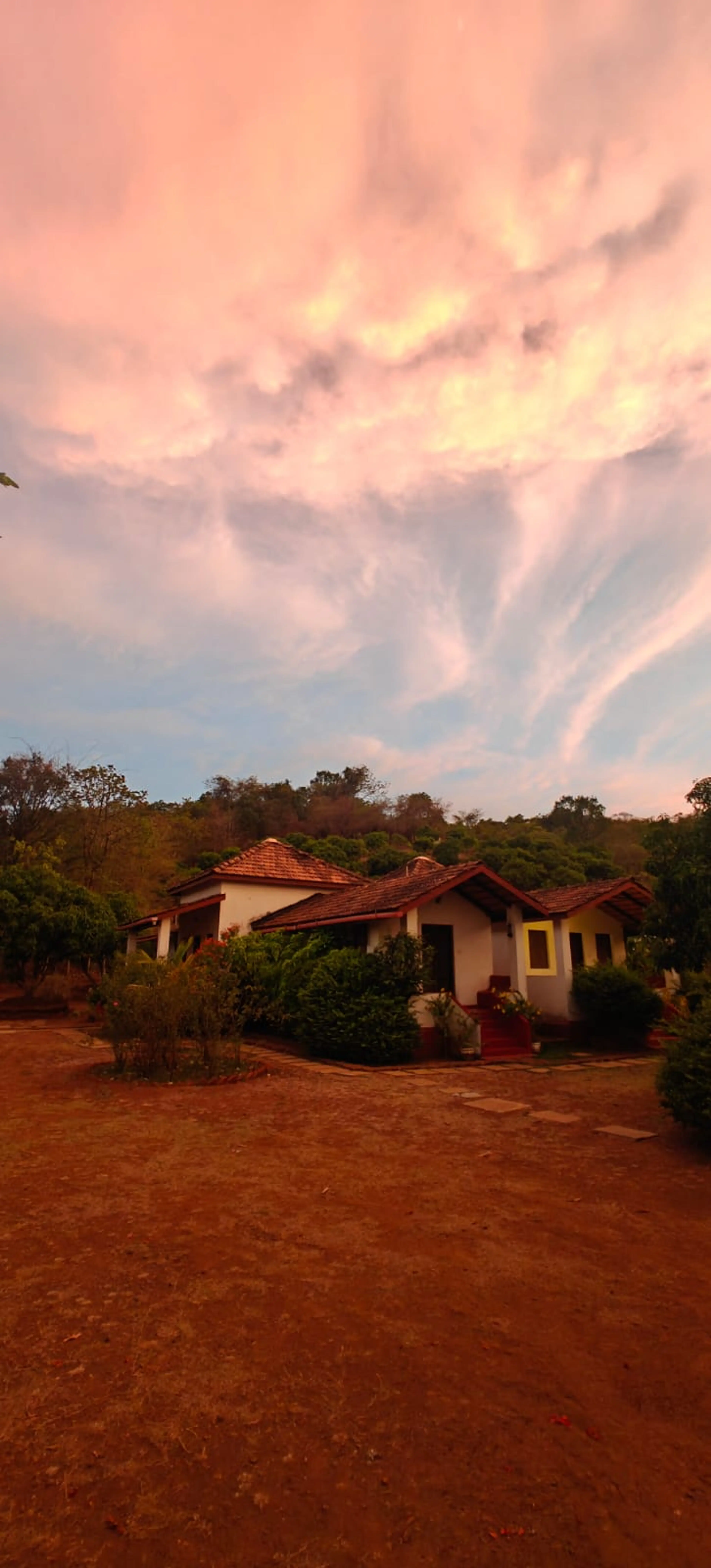Apoorva