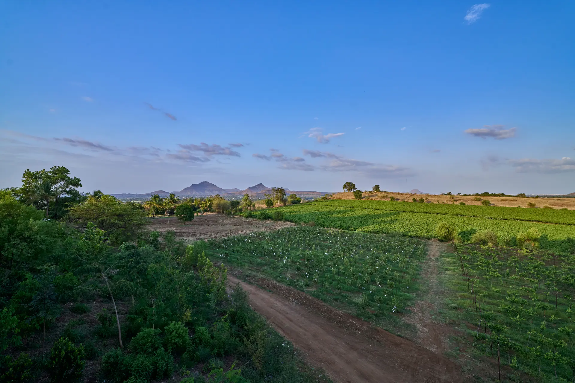 Image 90 of the property