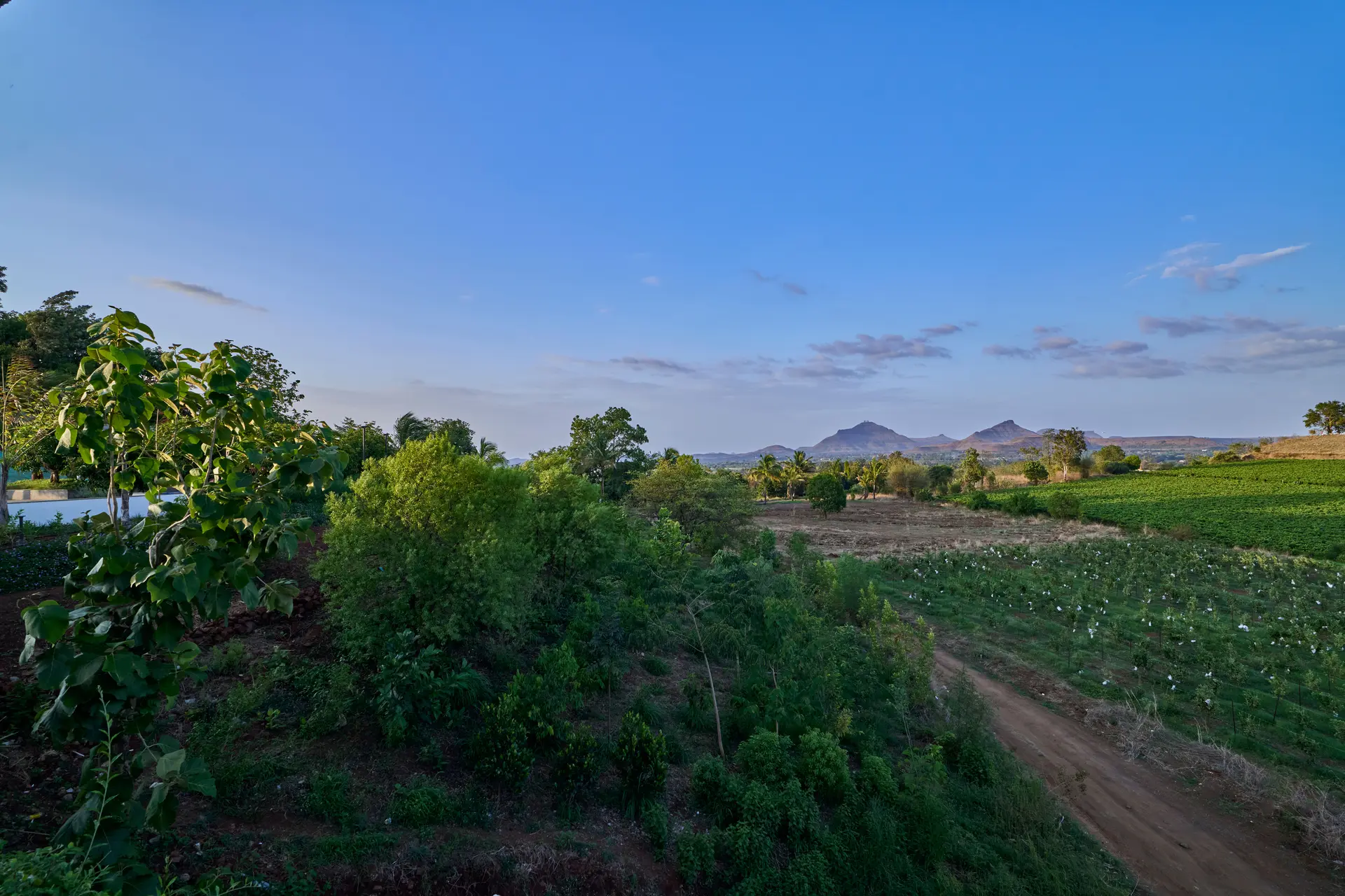 Image 91 of the property