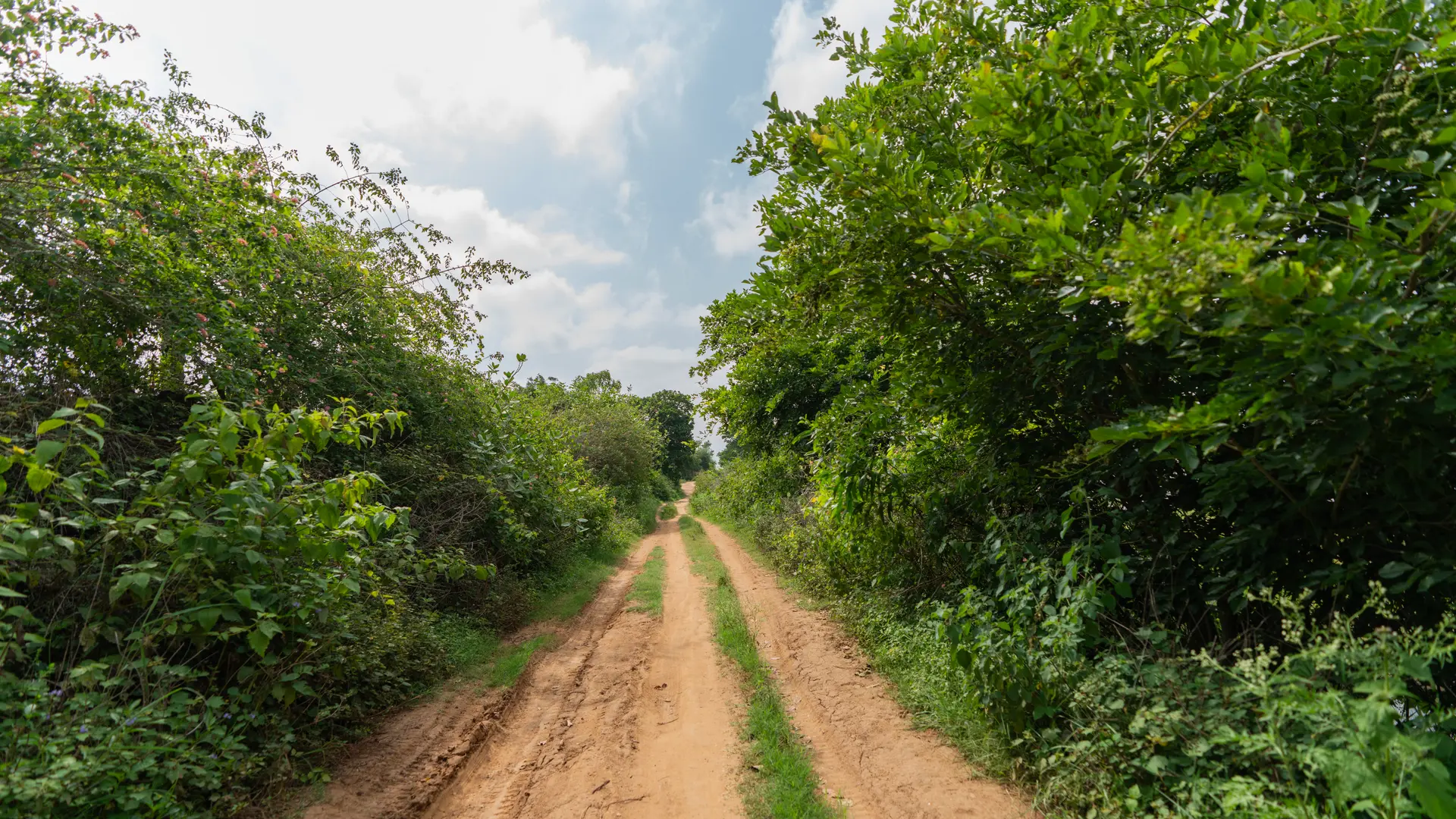 Image 34 of the property