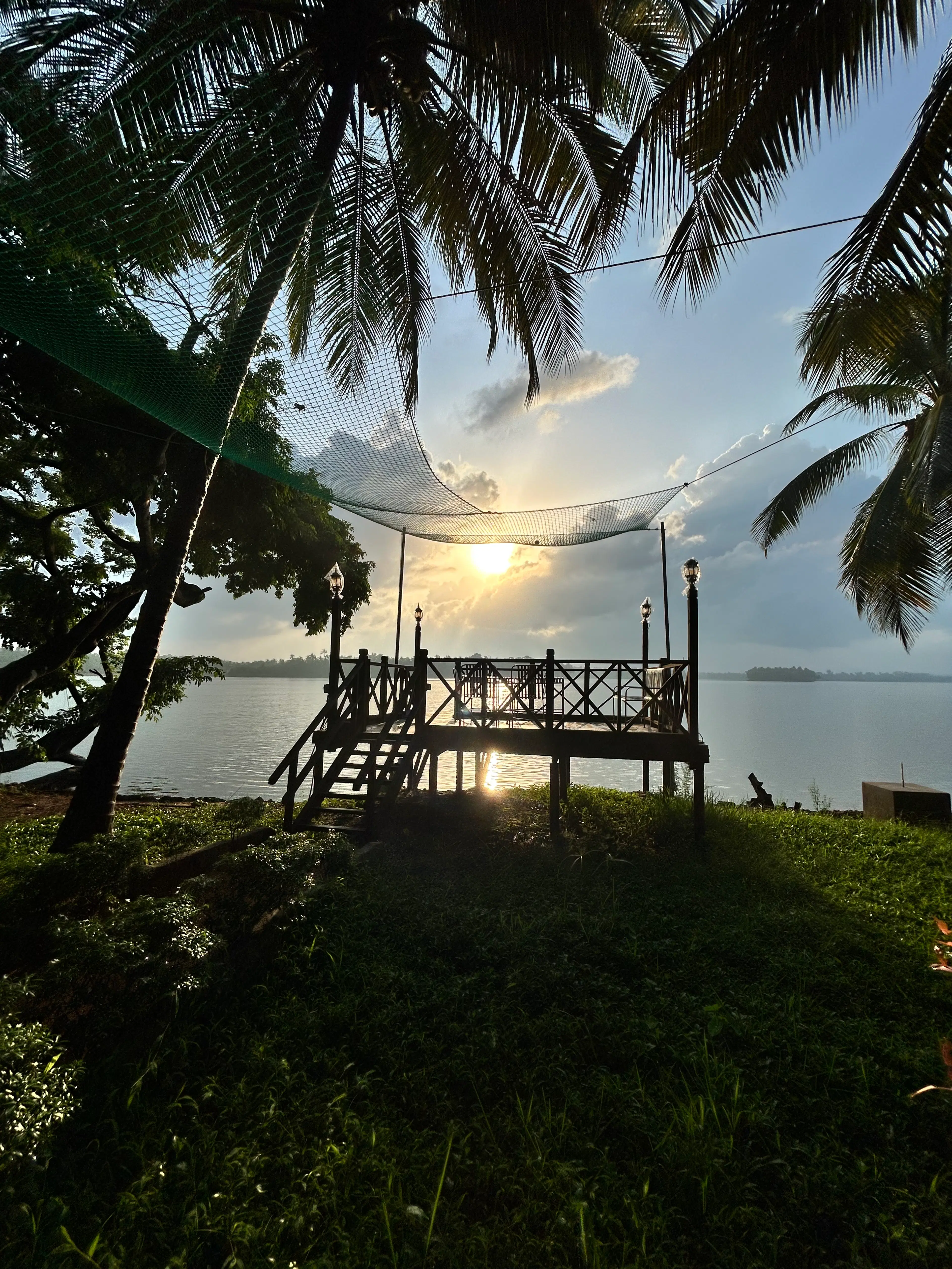 manvi