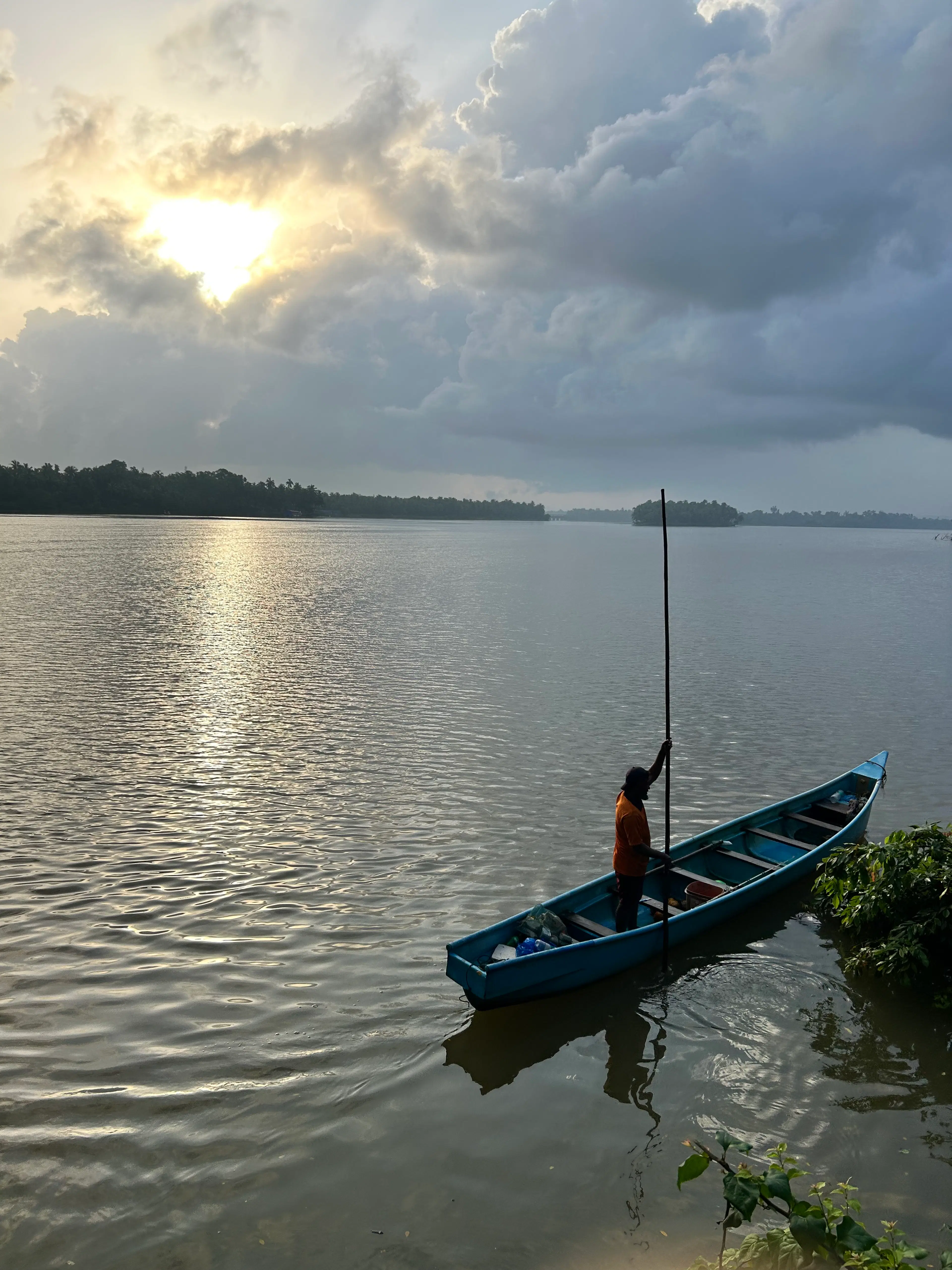 manvi