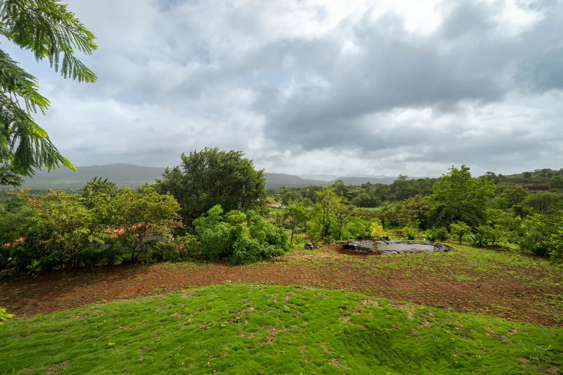 Image 31 of the property