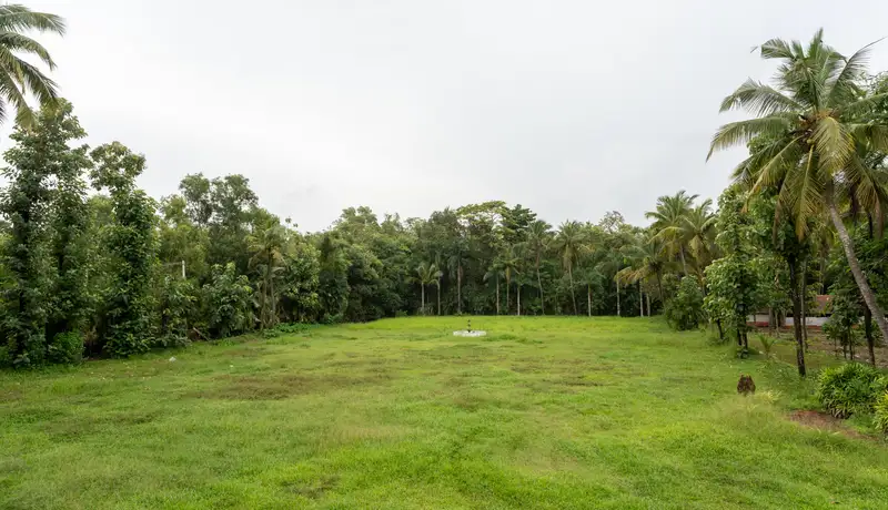 Acres by the Sea - Image 2