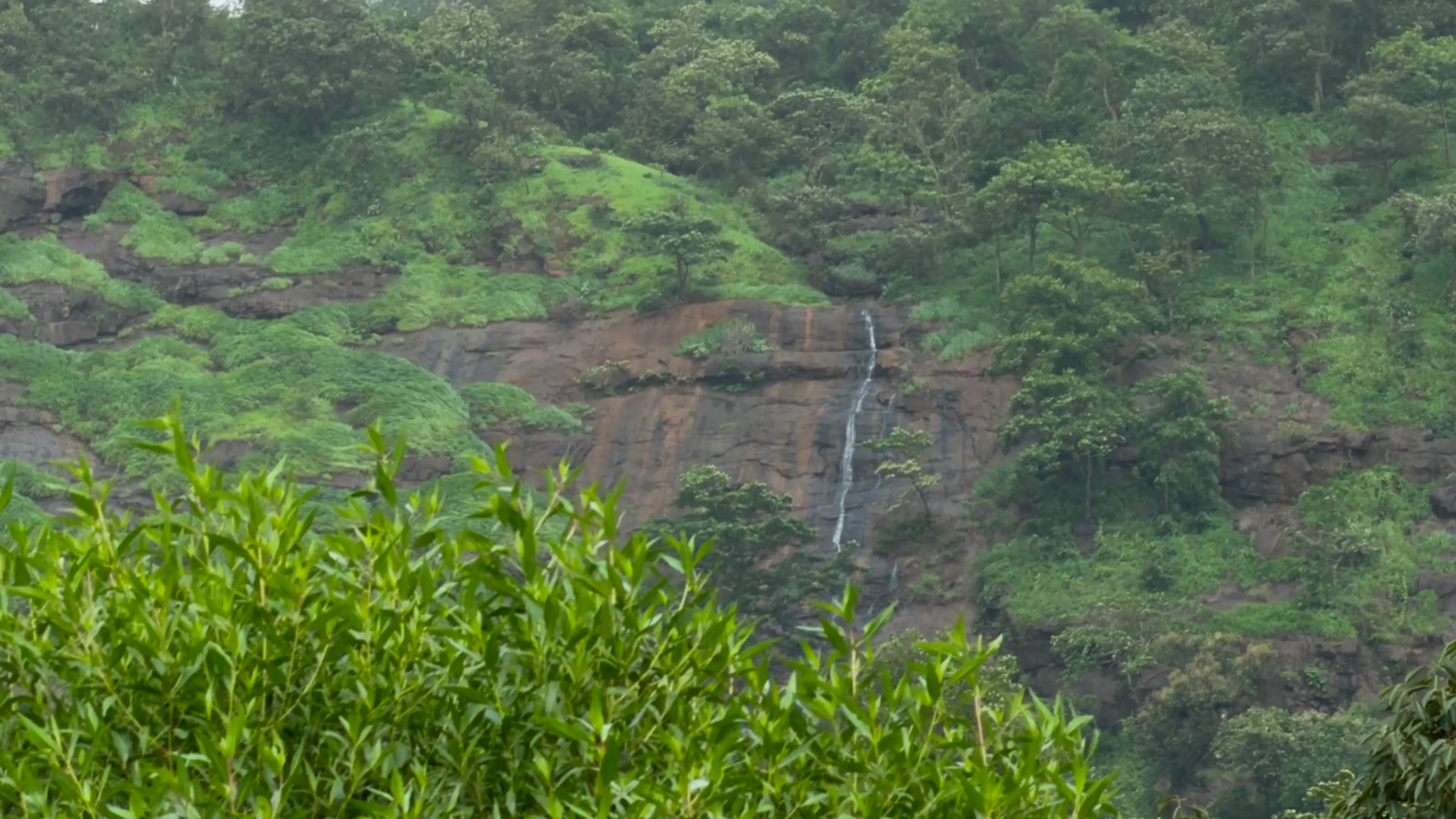 Dr Nikita Makwana