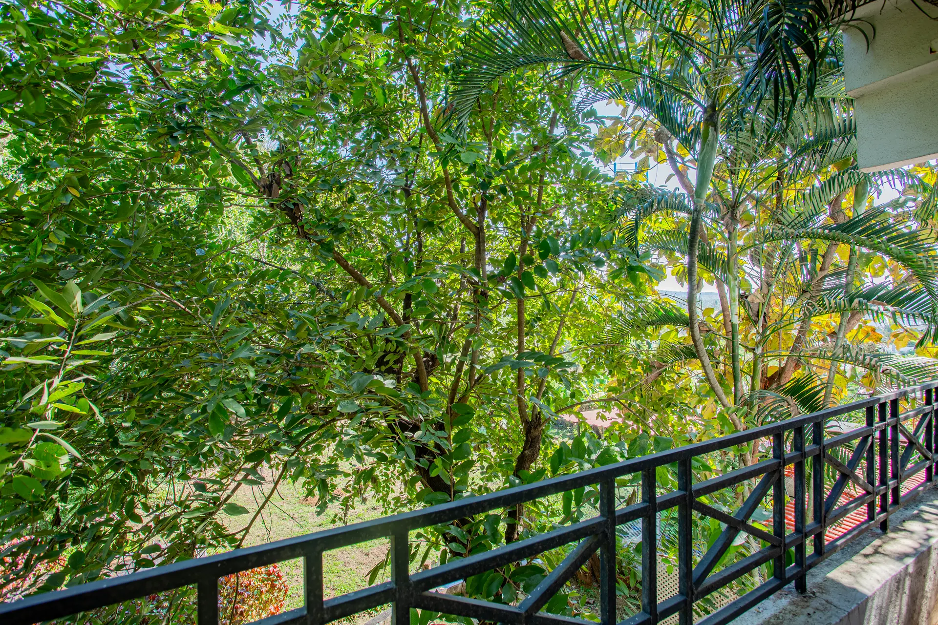 Image 34 of the property