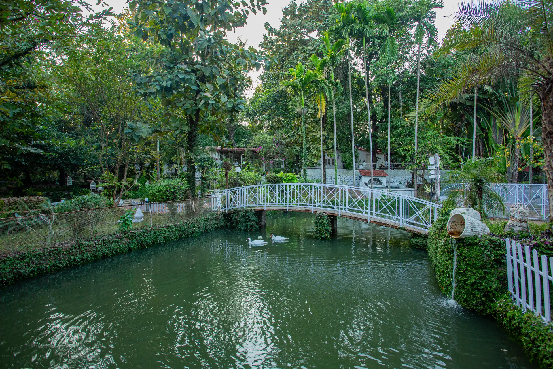 Image 3 of the property