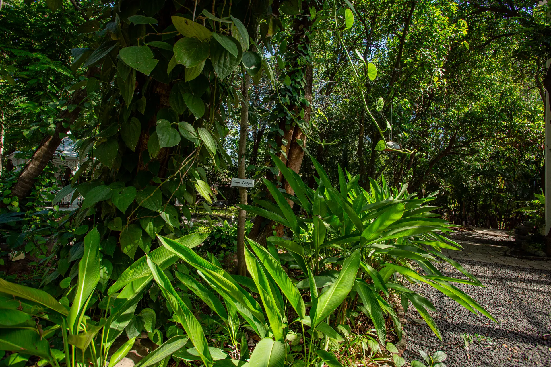 Image 64 of the property