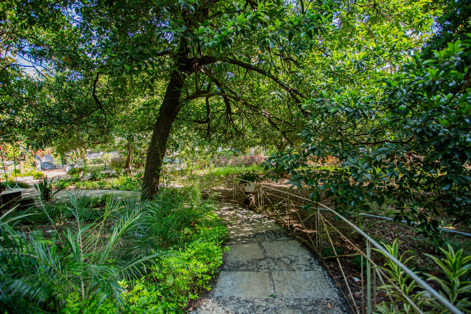 Image 78 of the property
