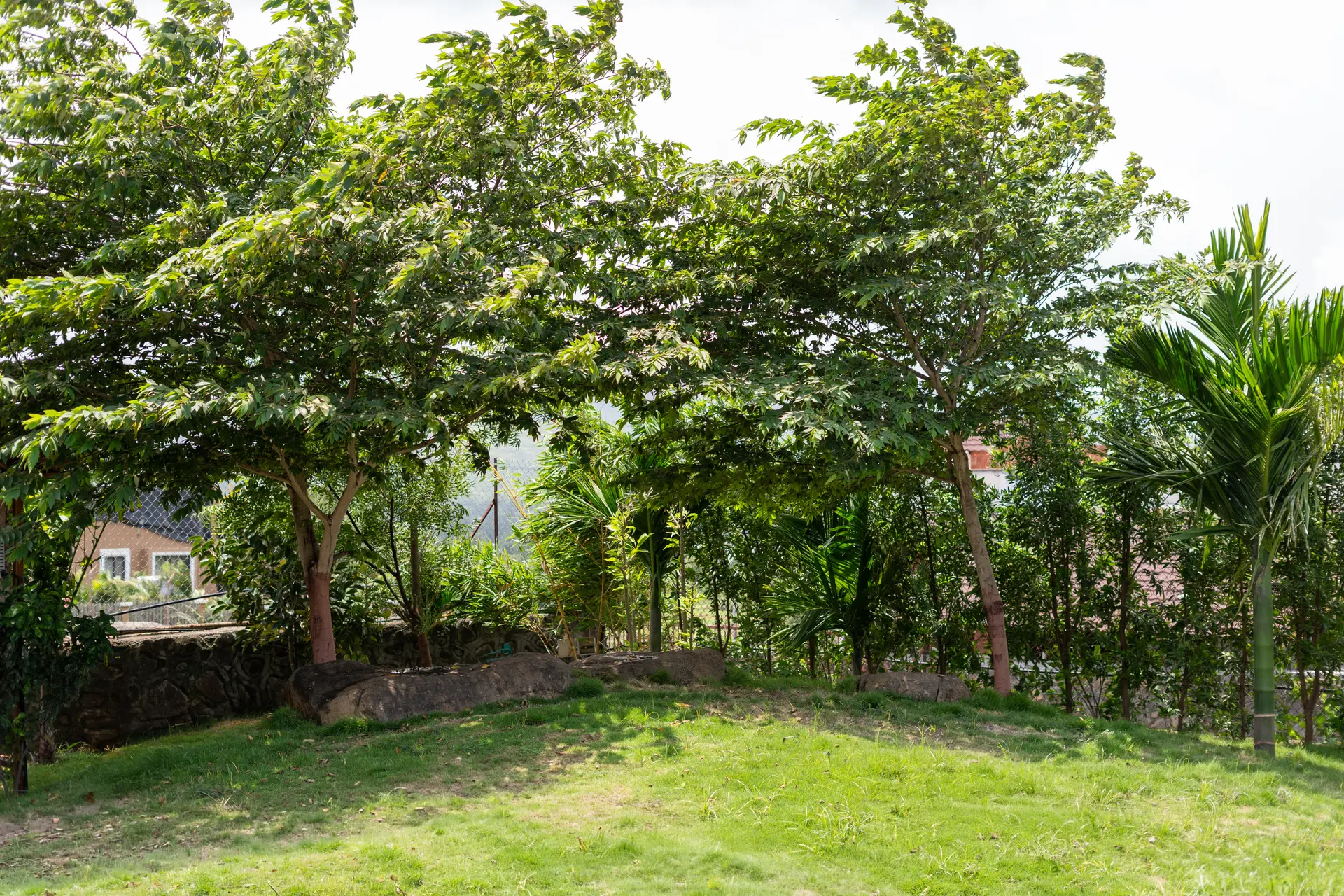 Image 17 of the property