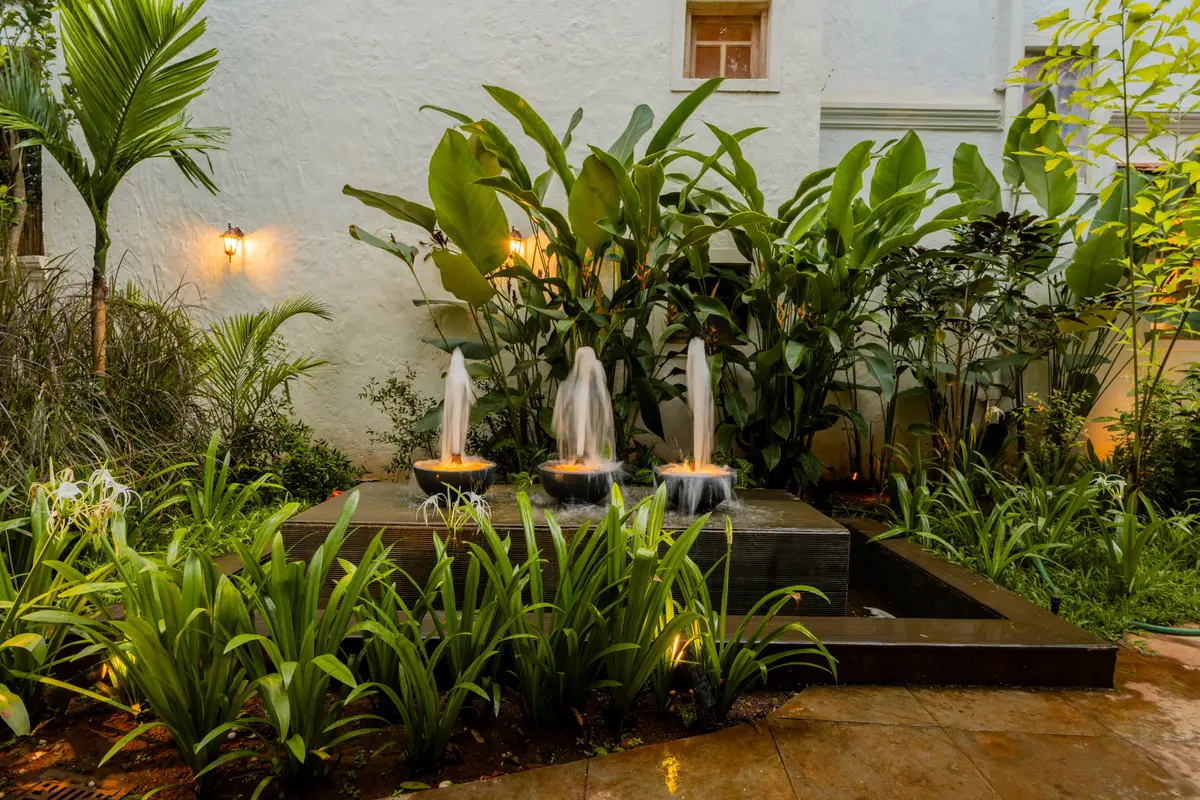 Lush tropical greens and the gentle sound of water.