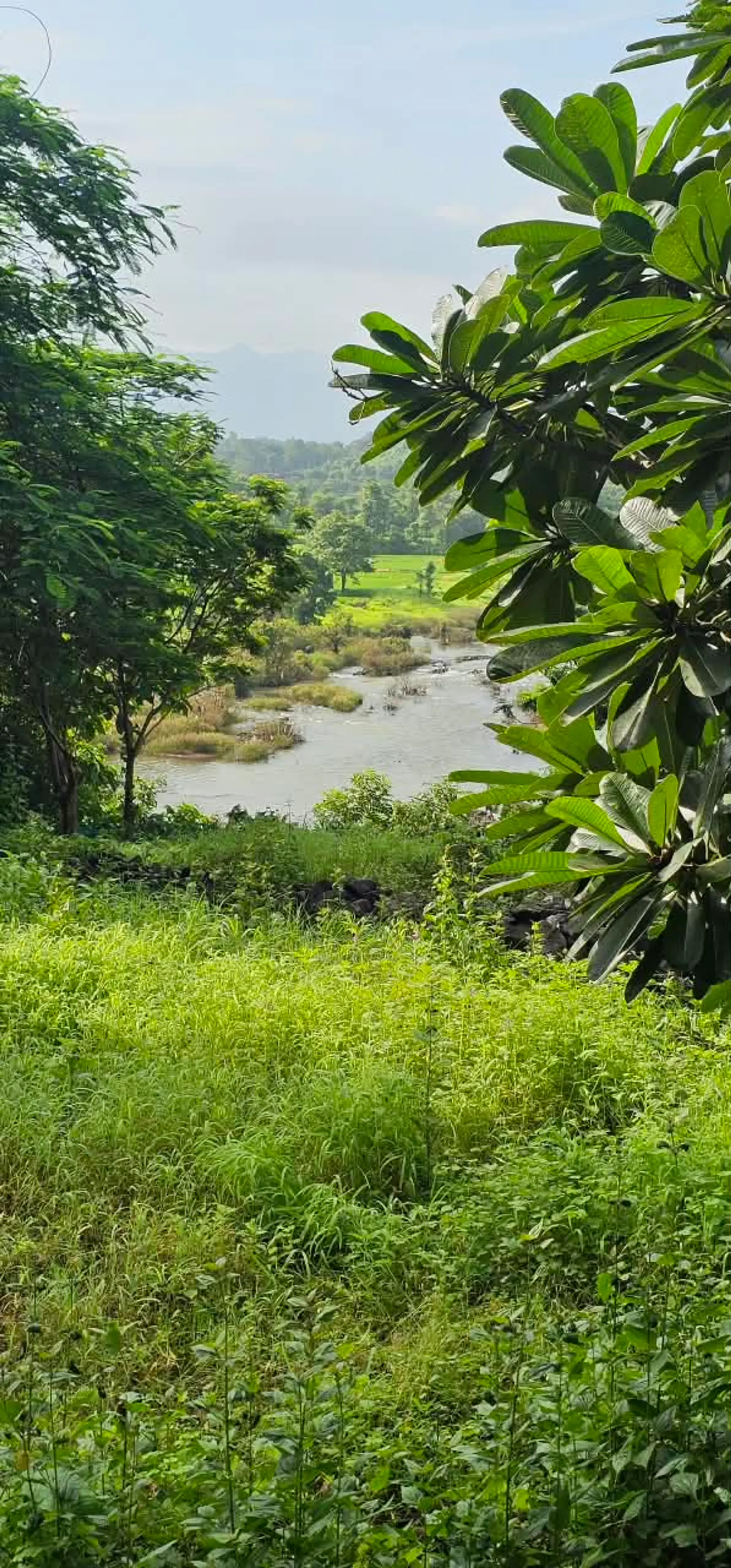 Anjee's Chalet