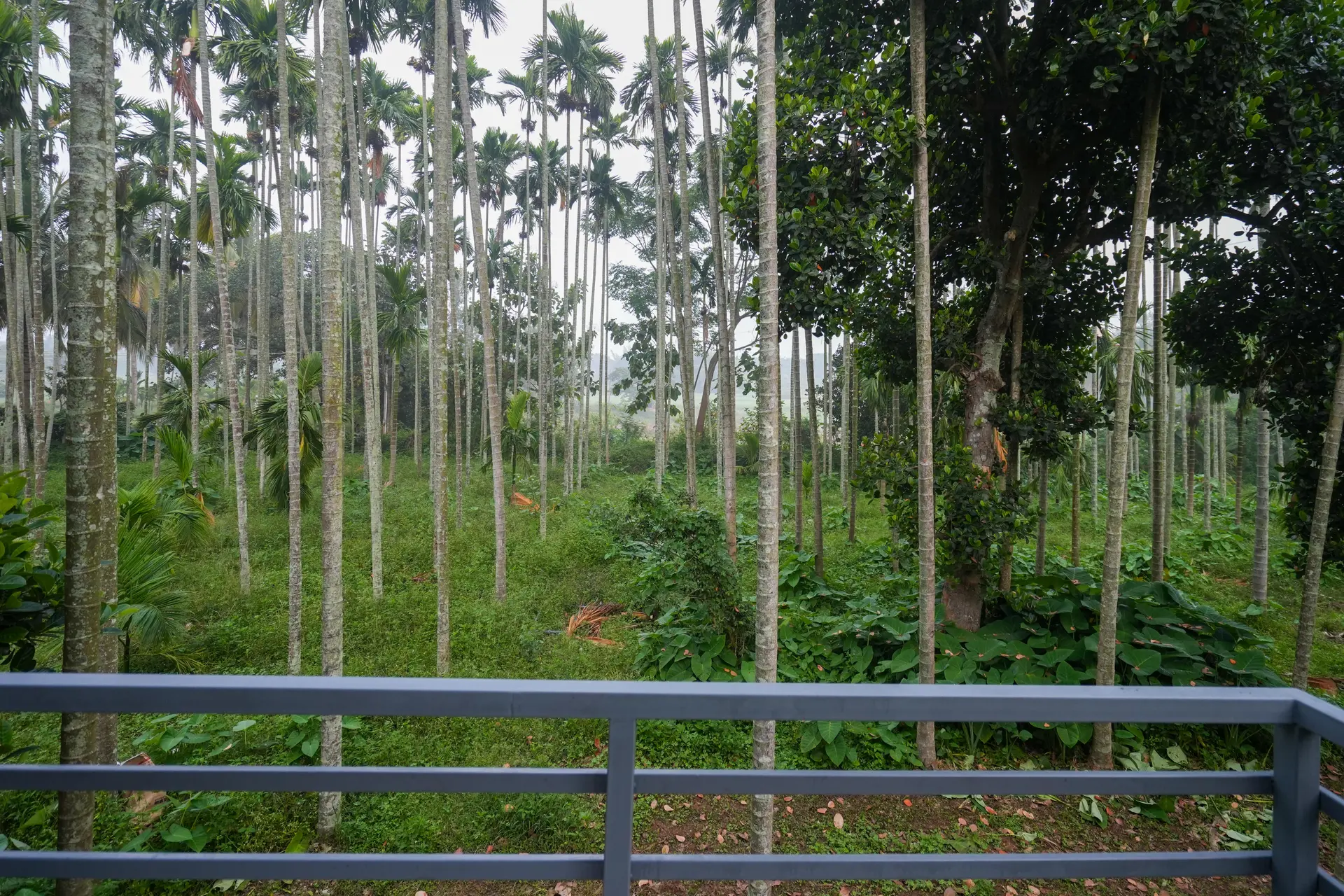 Image 39 of the property
