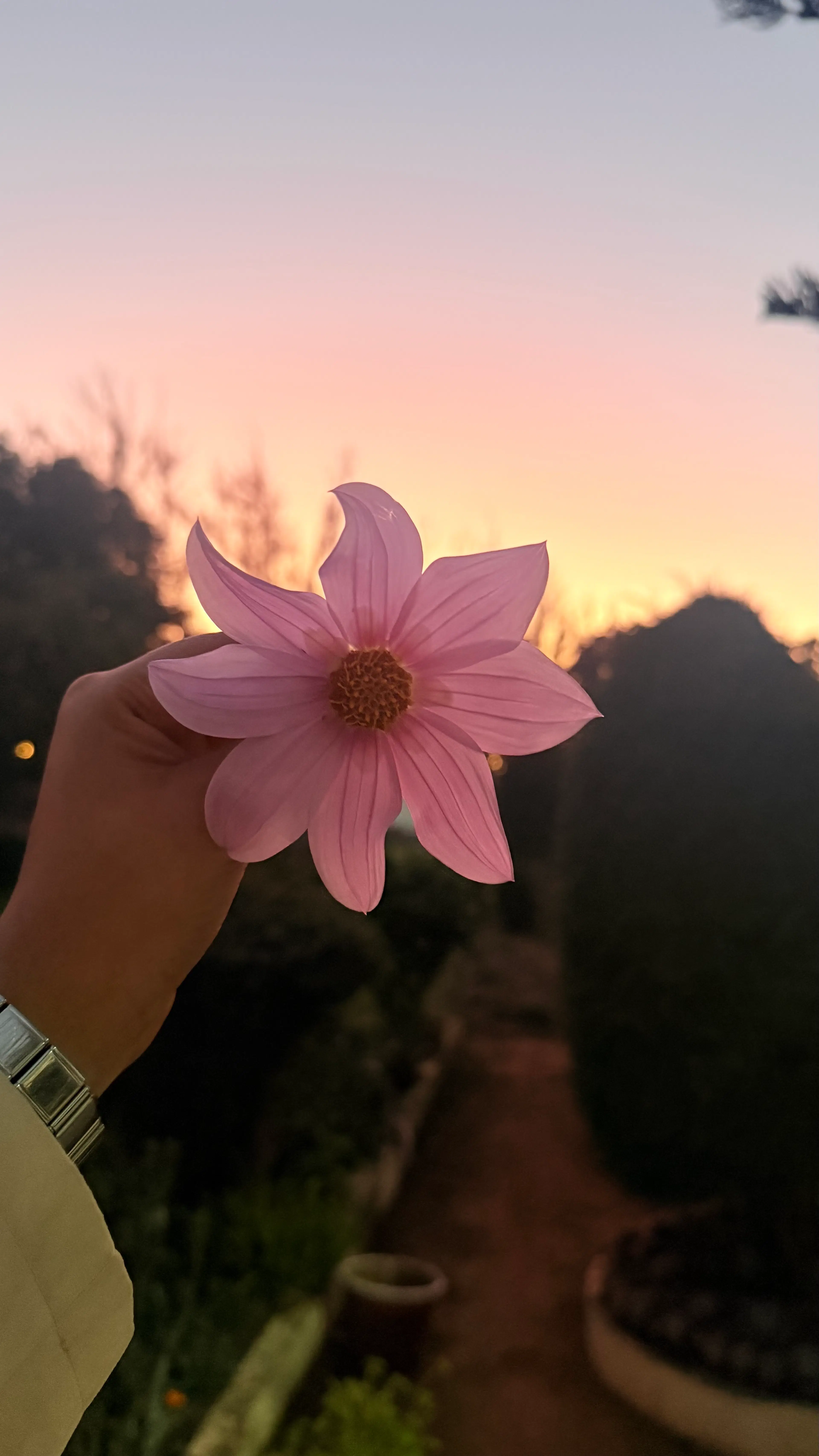 Nirmala CS