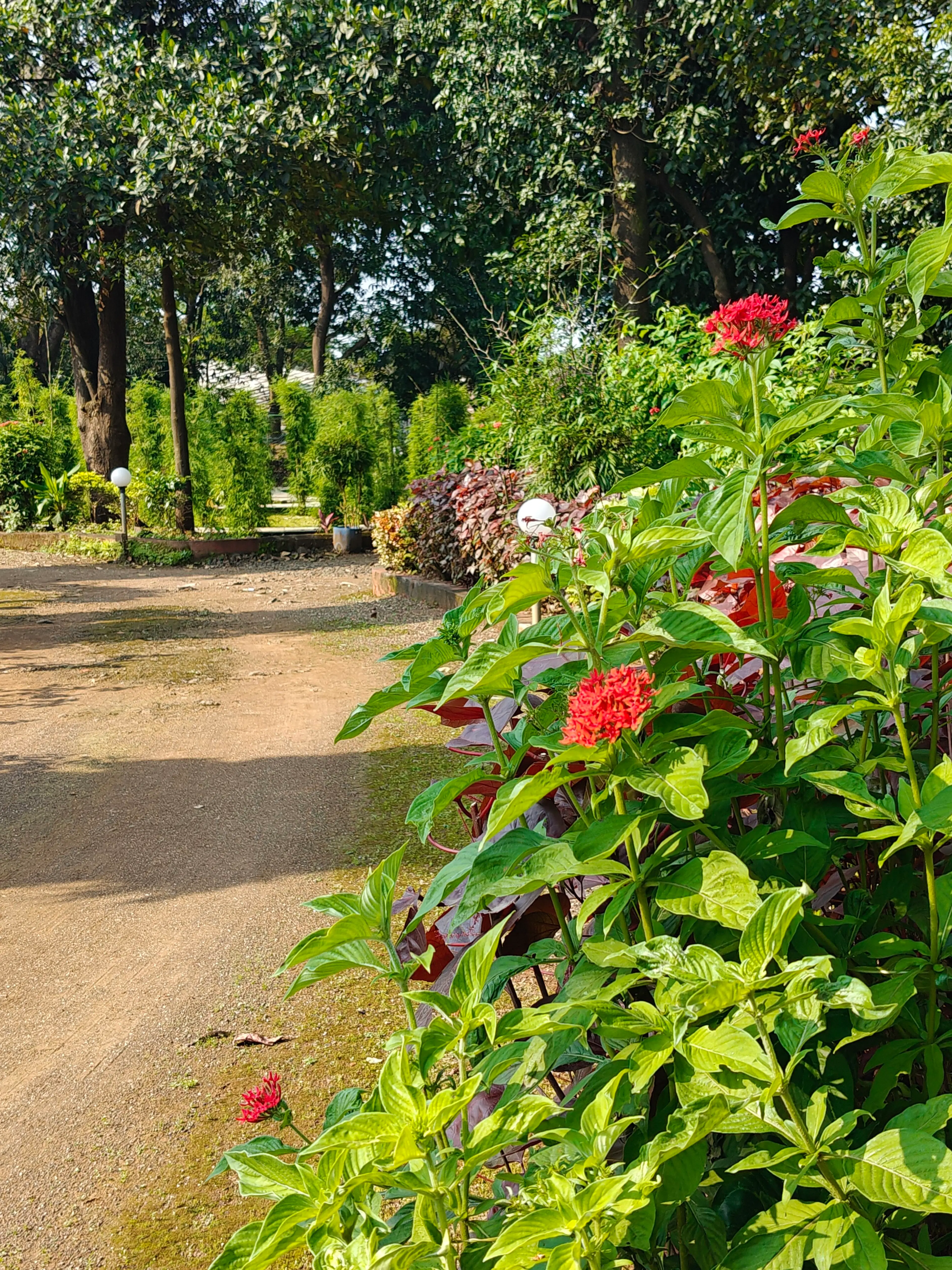Pulkita Parsai