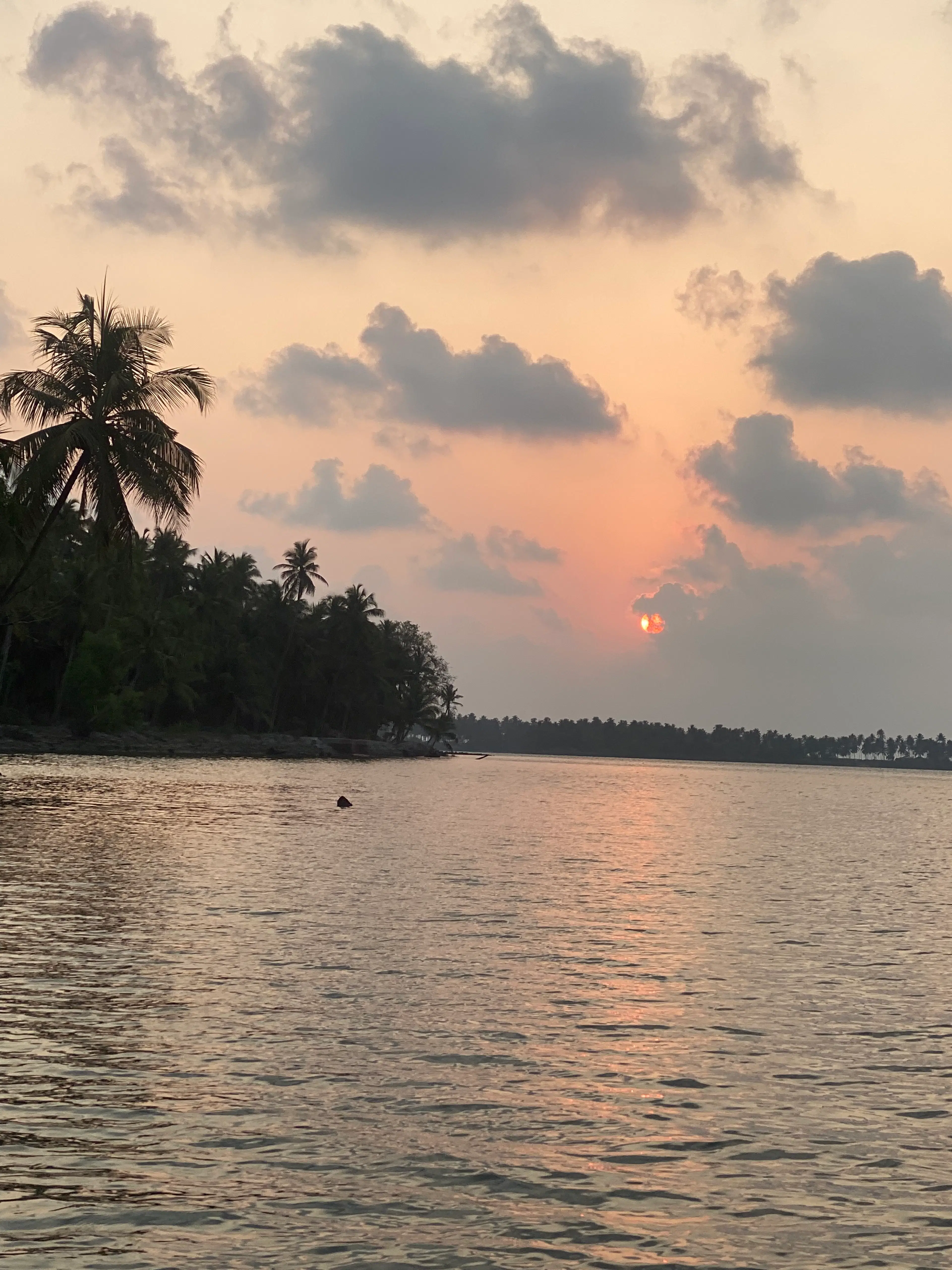 DEVDATTA