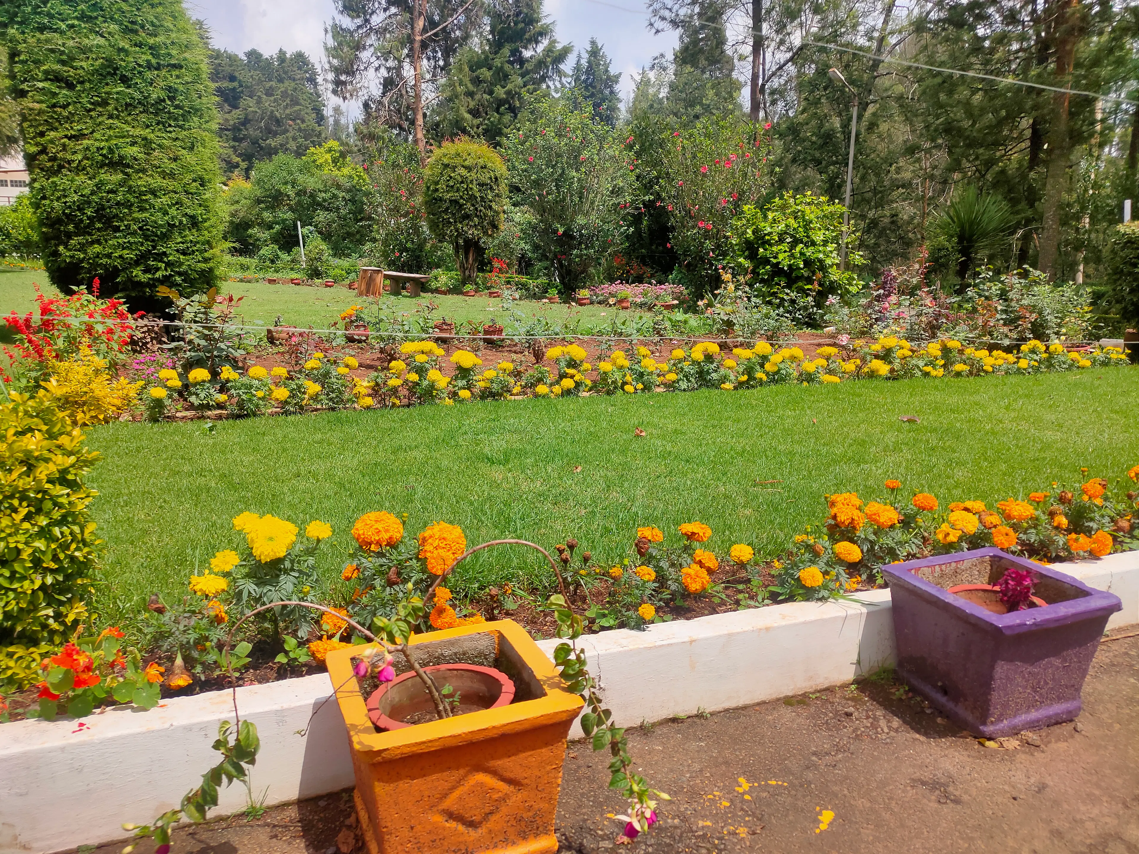 Garima