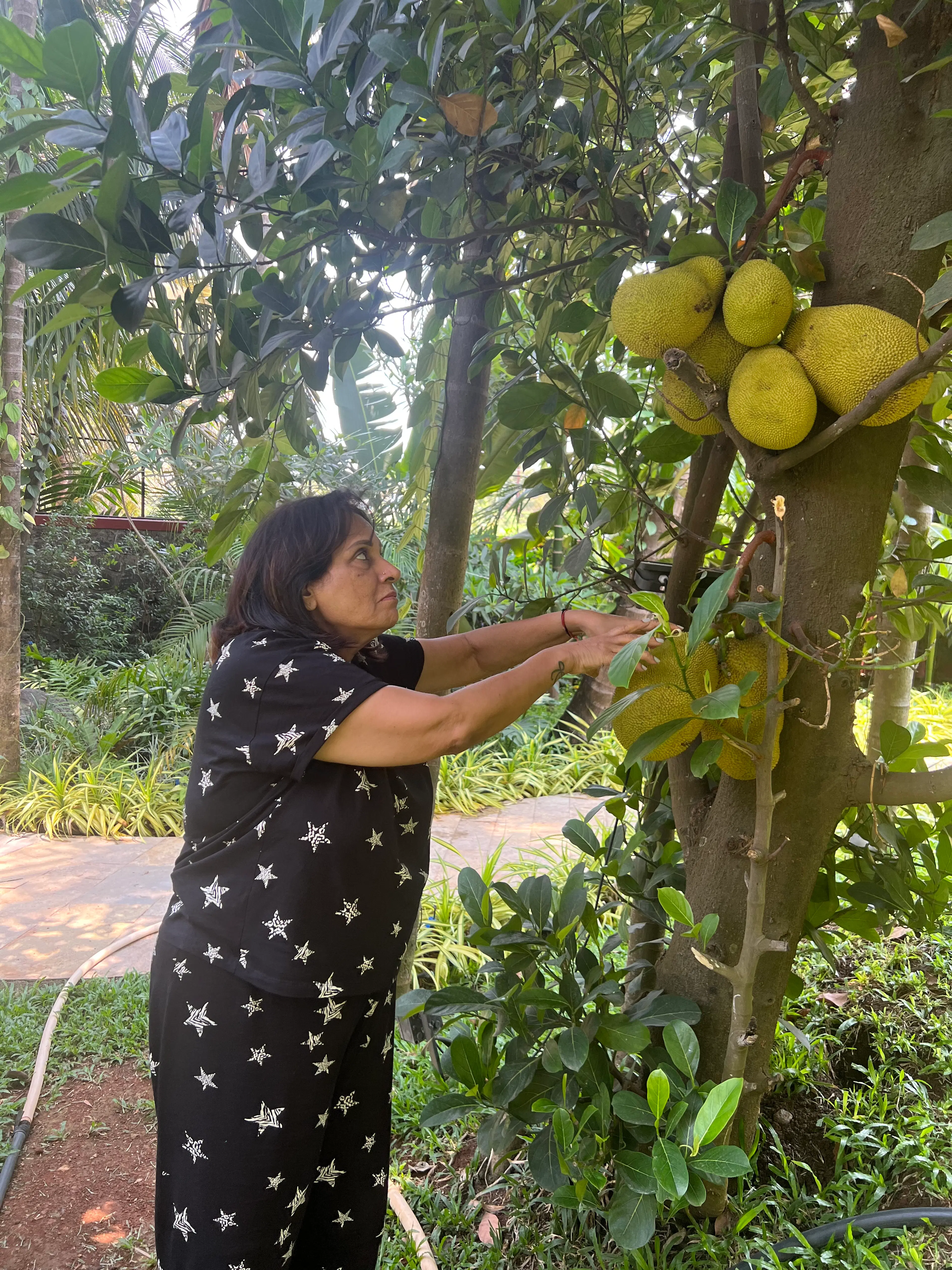 pushpa