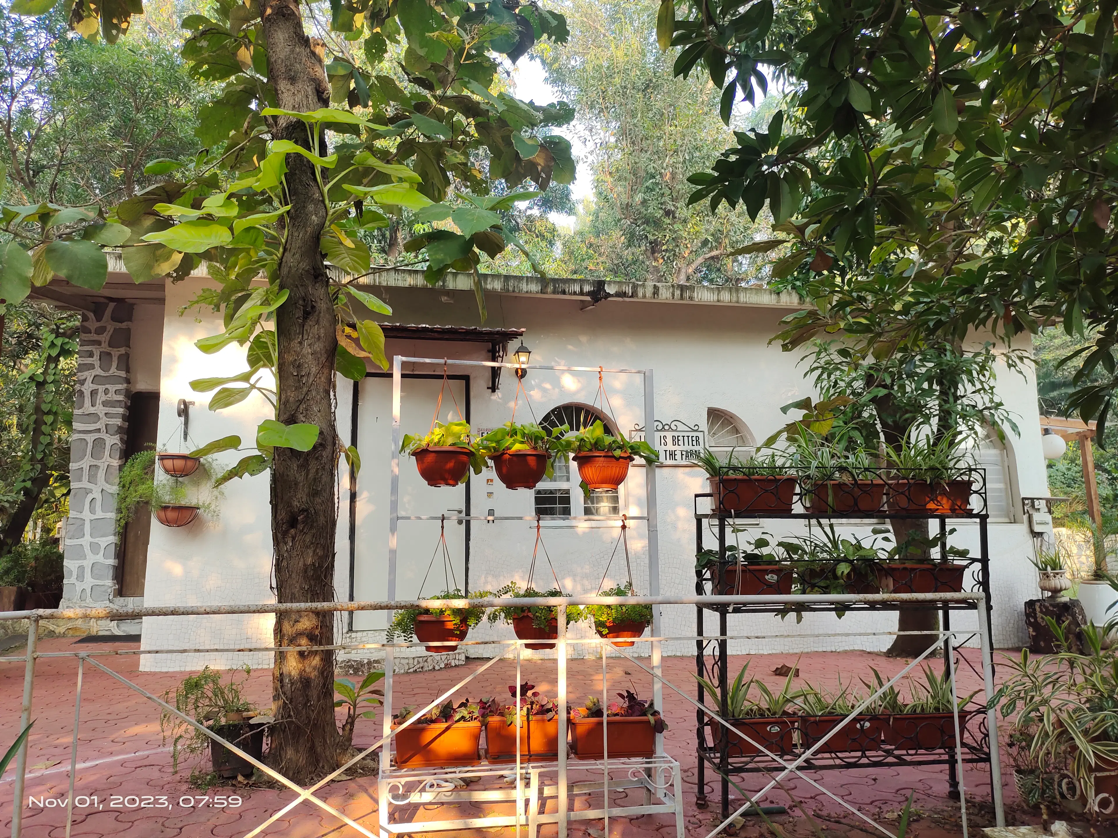 Manish Jaggi