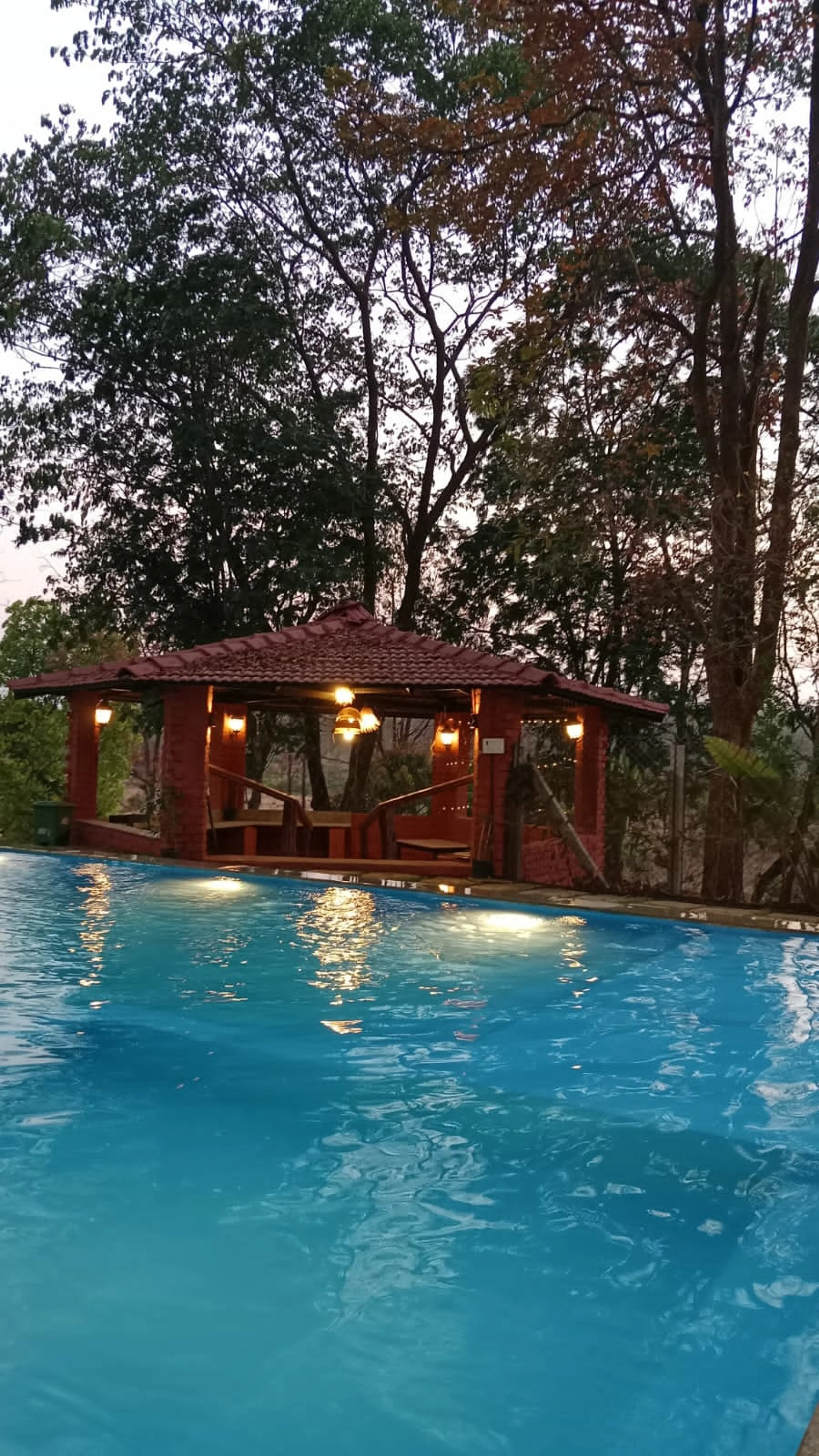 Sunita Dsouza