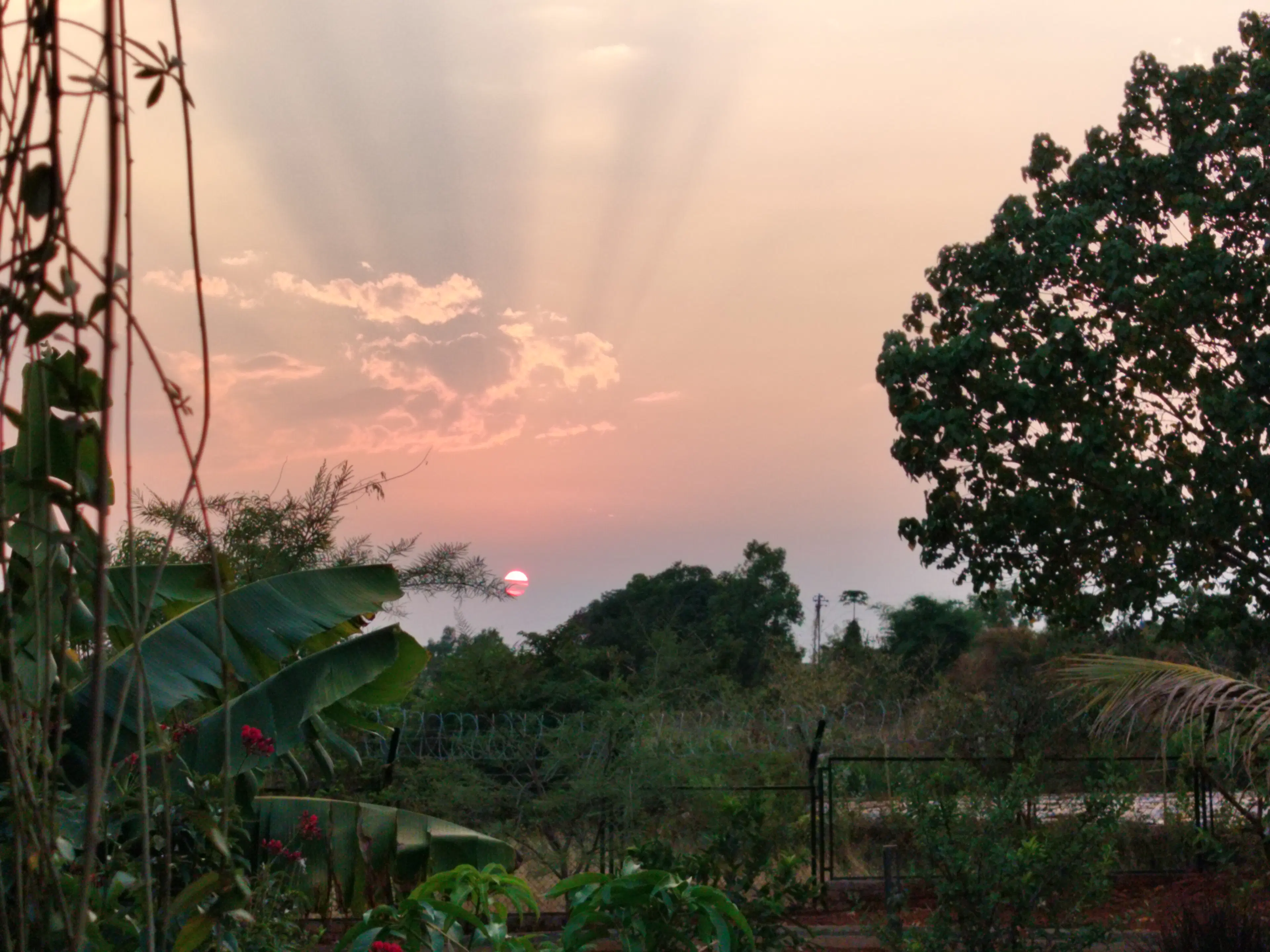  Bbijal Tanna panchmatiya