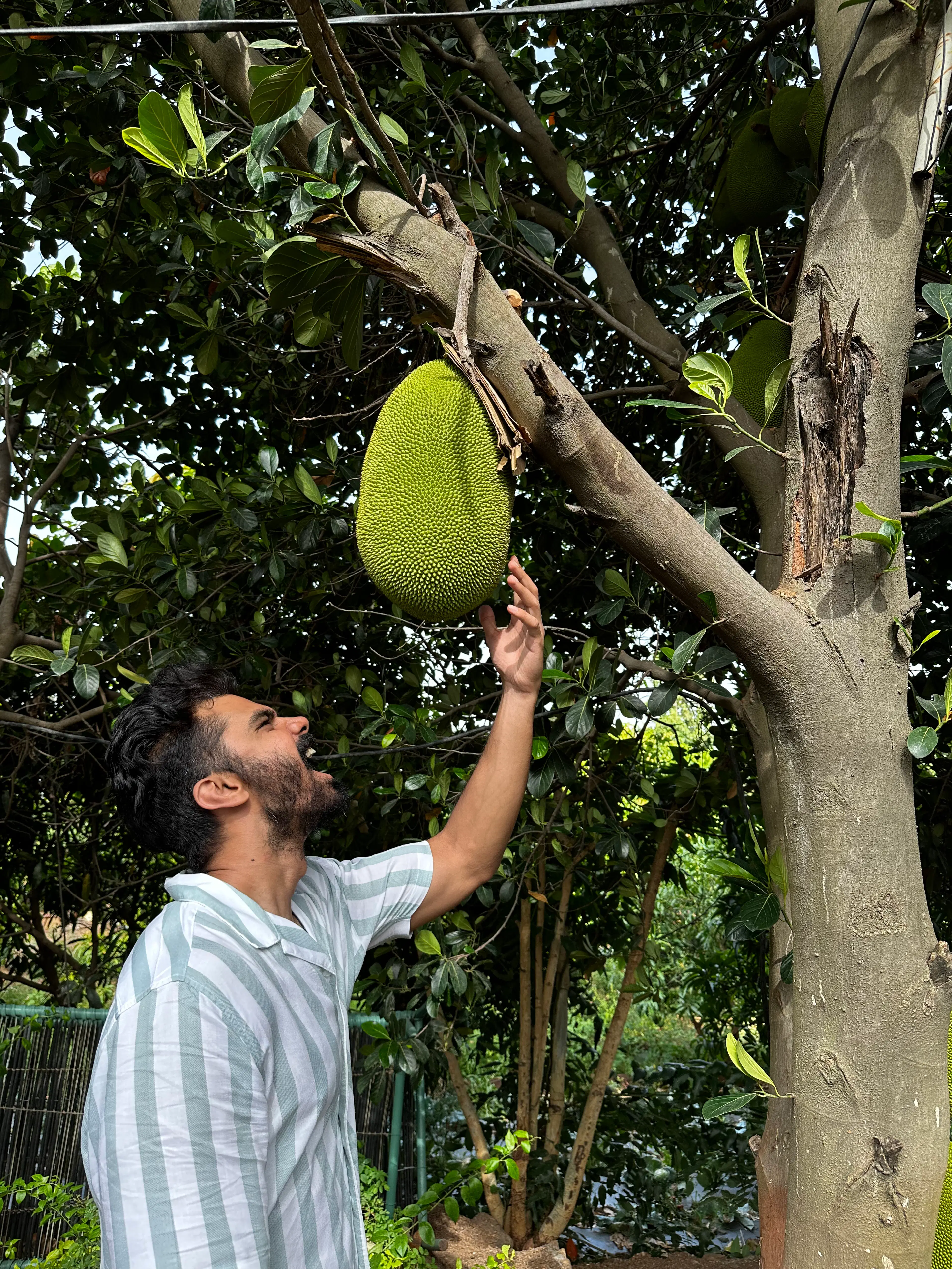 shantanu