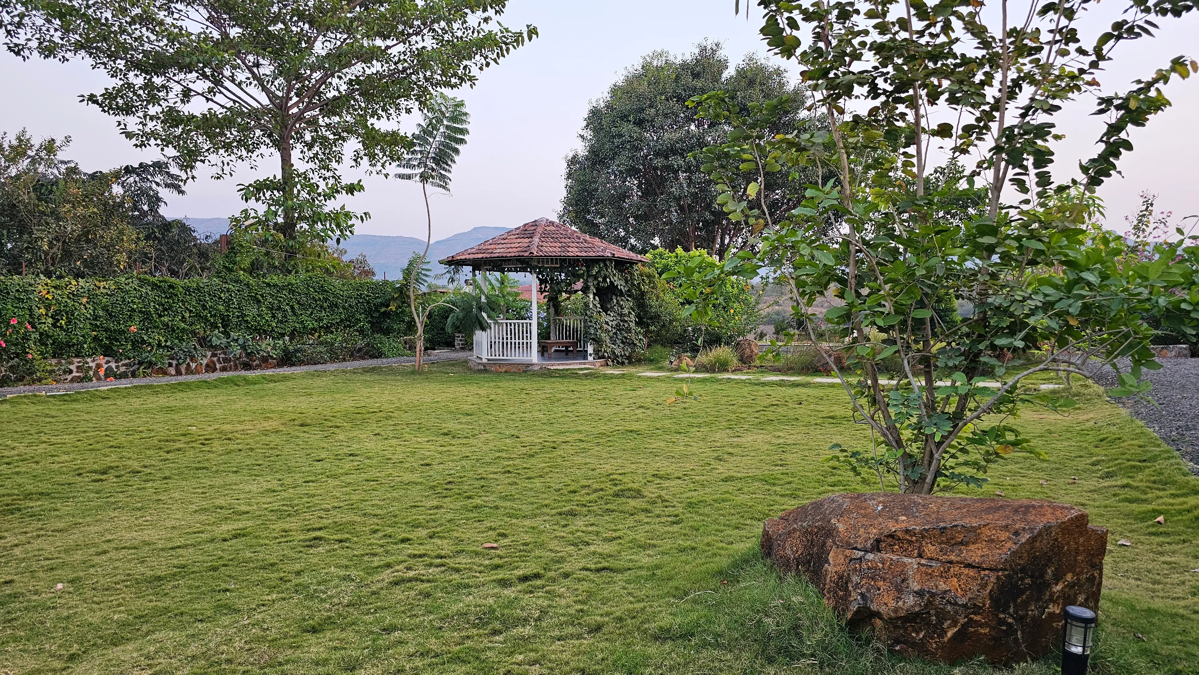 Savio Dsouza