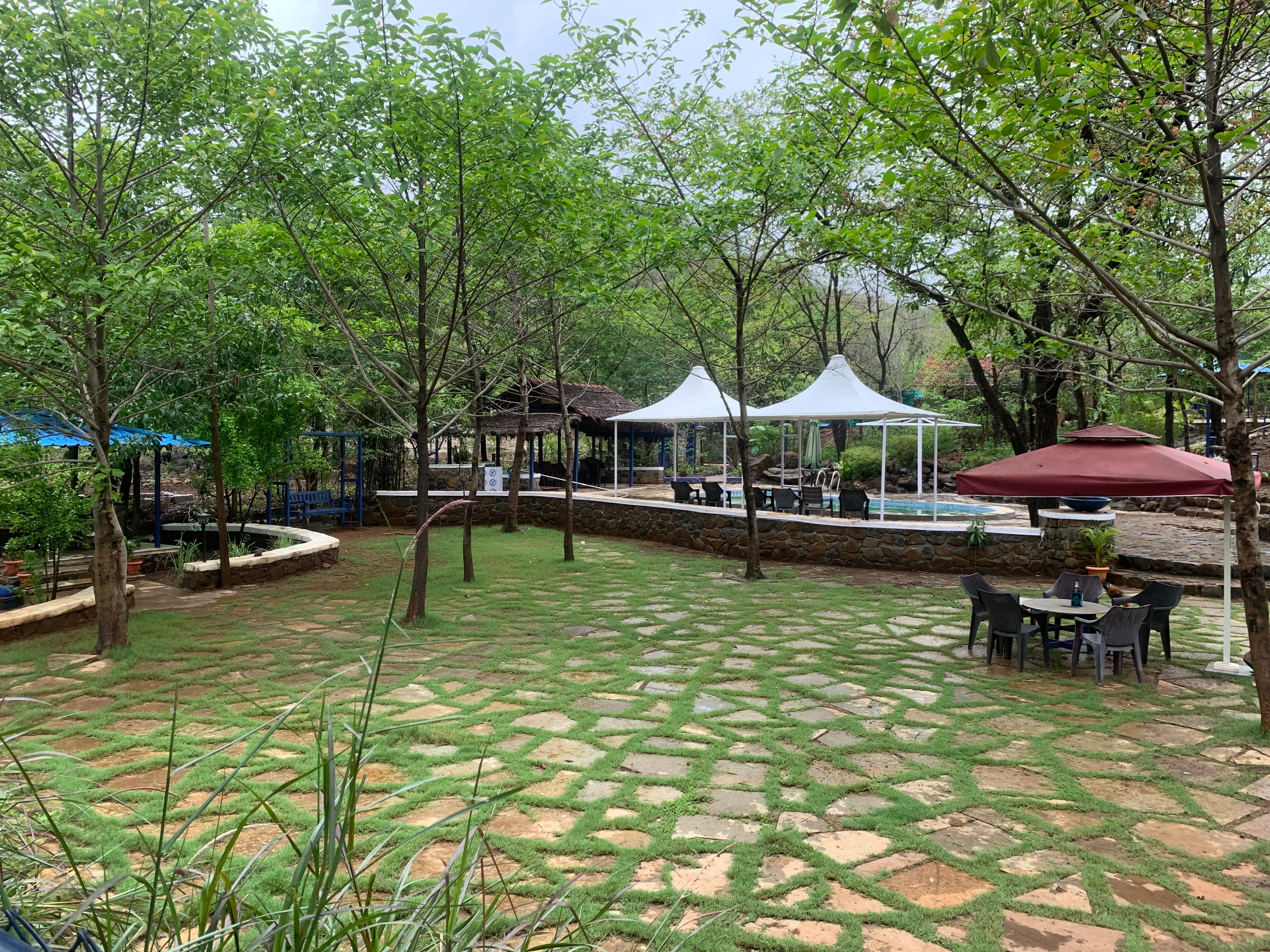Mahasweta
