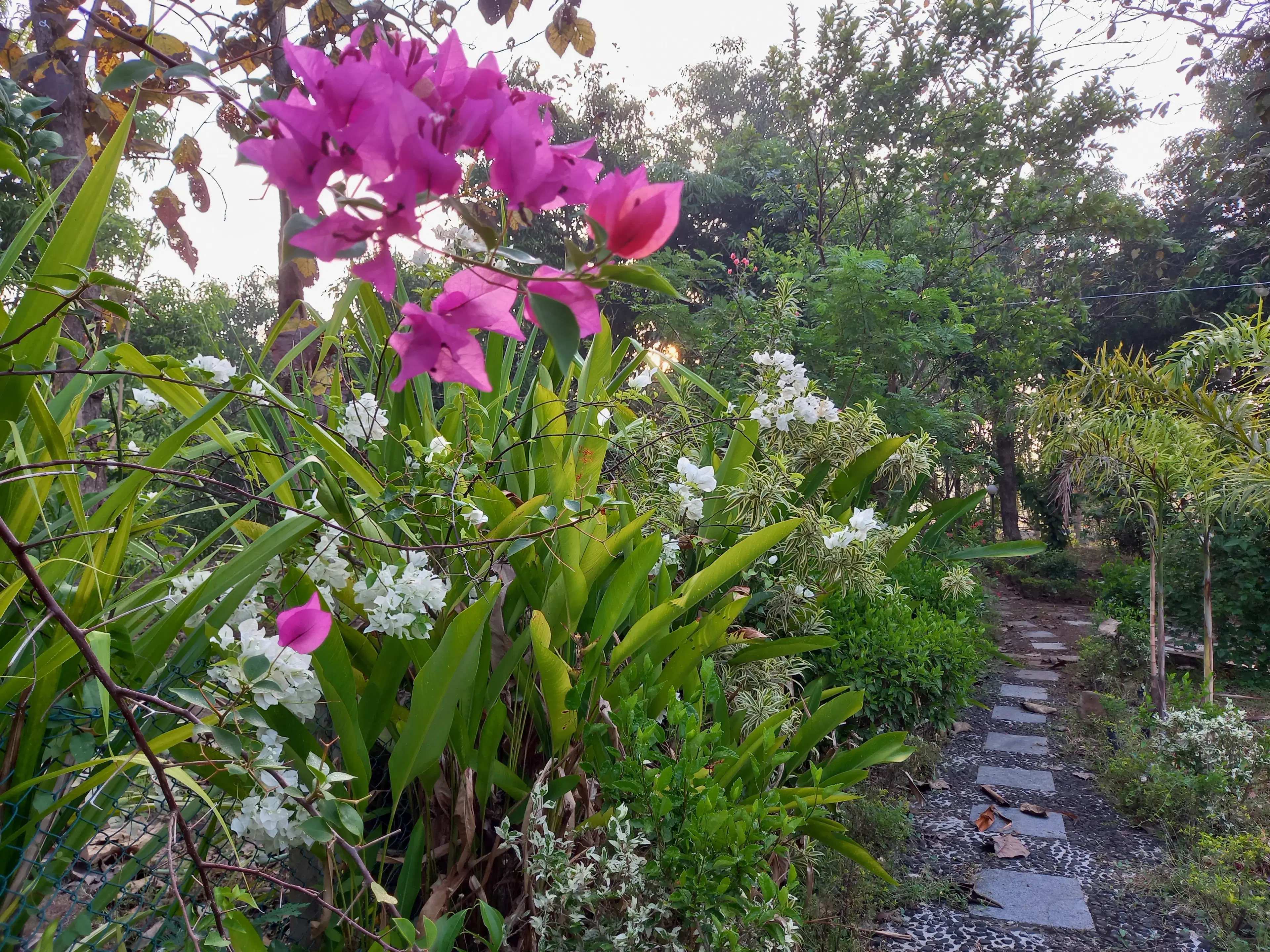 Rohit Marathe