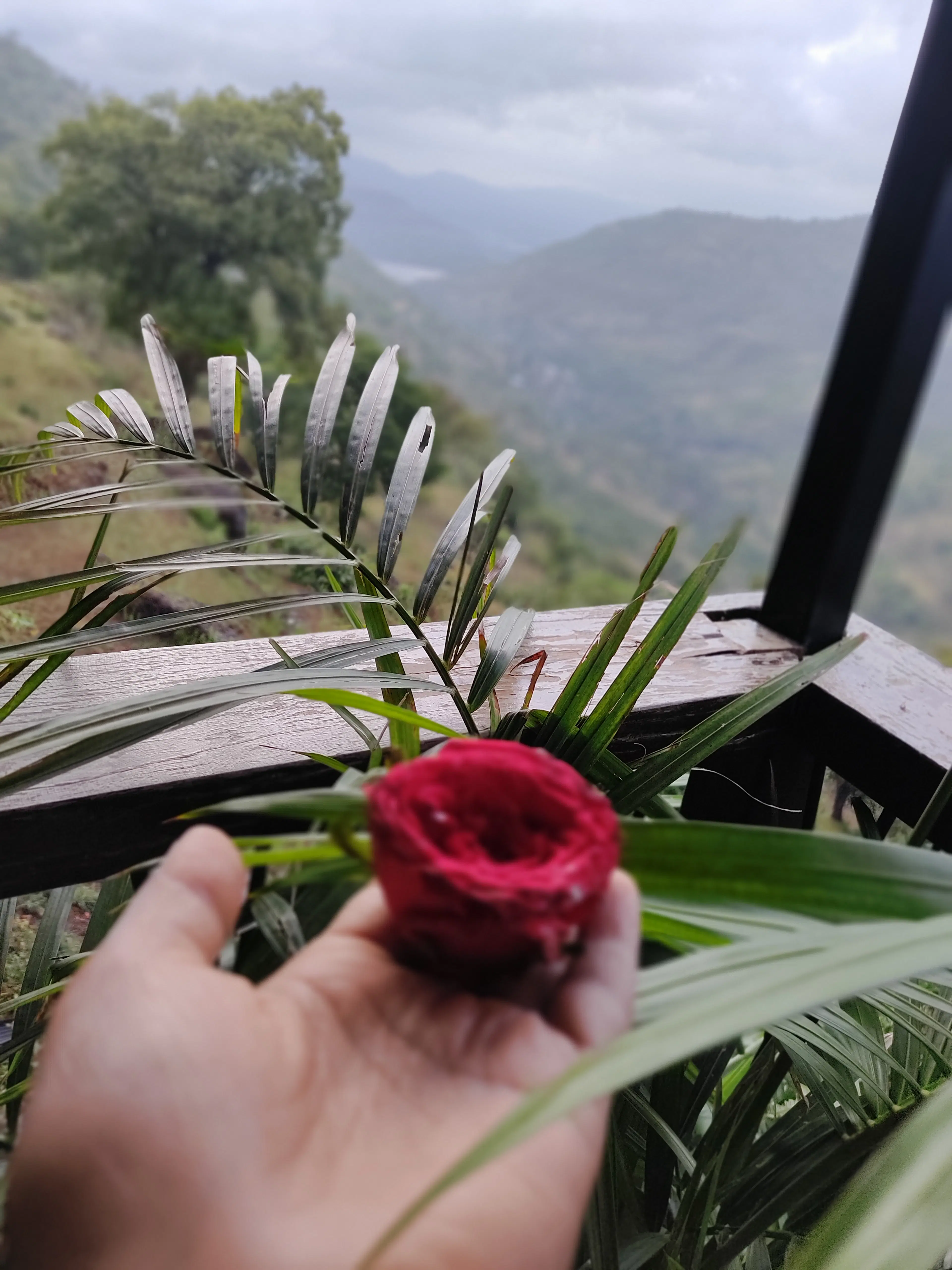 Rakhi