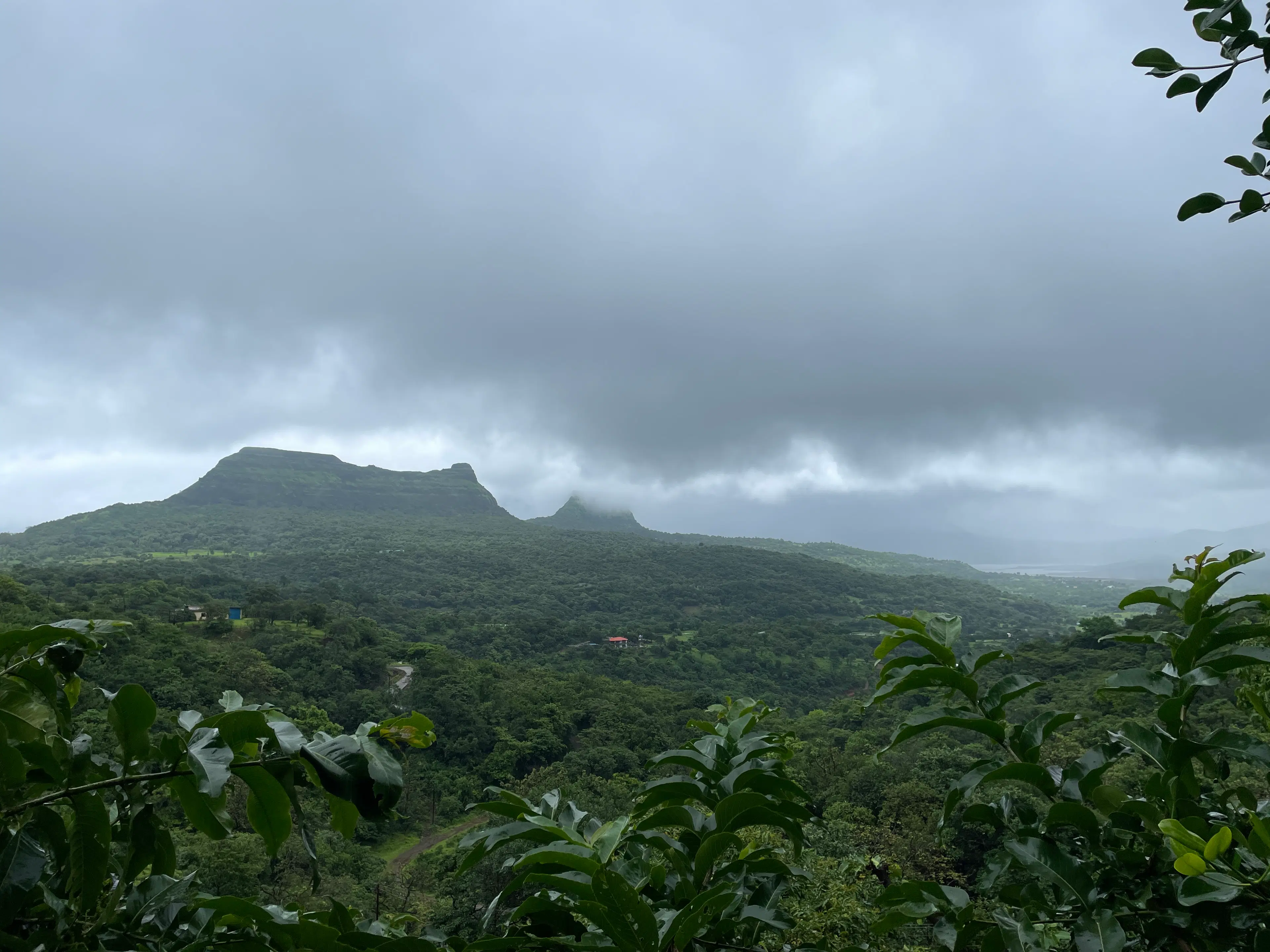  Rahul Kolipaka