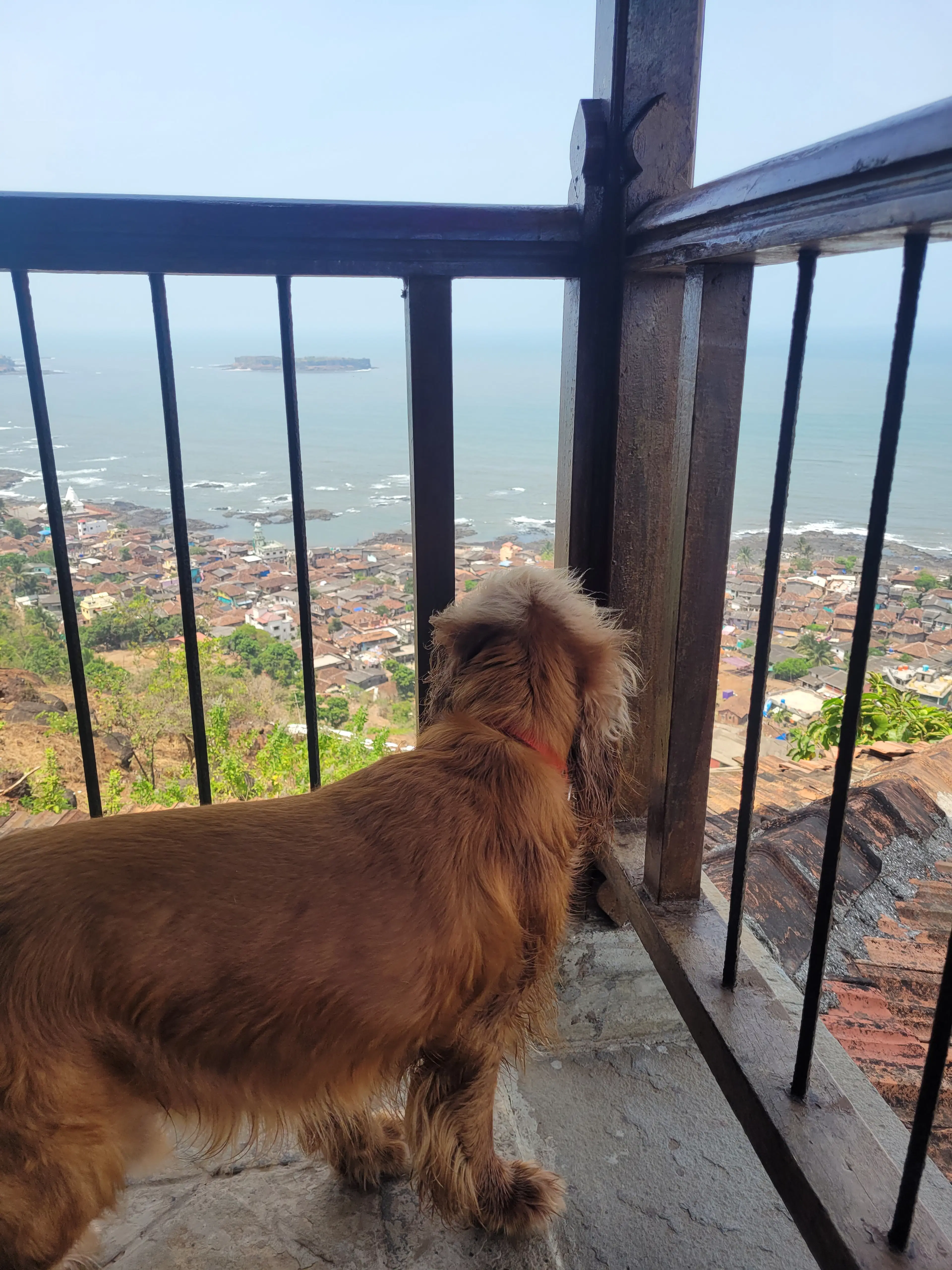 Saikat Sarkar