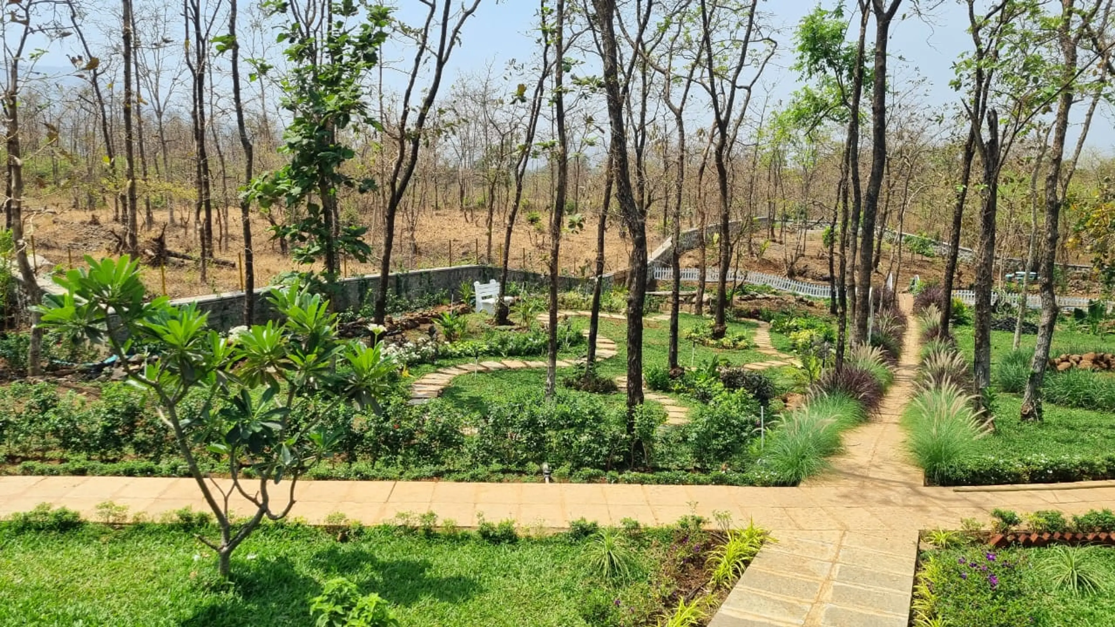 monit Rajwani