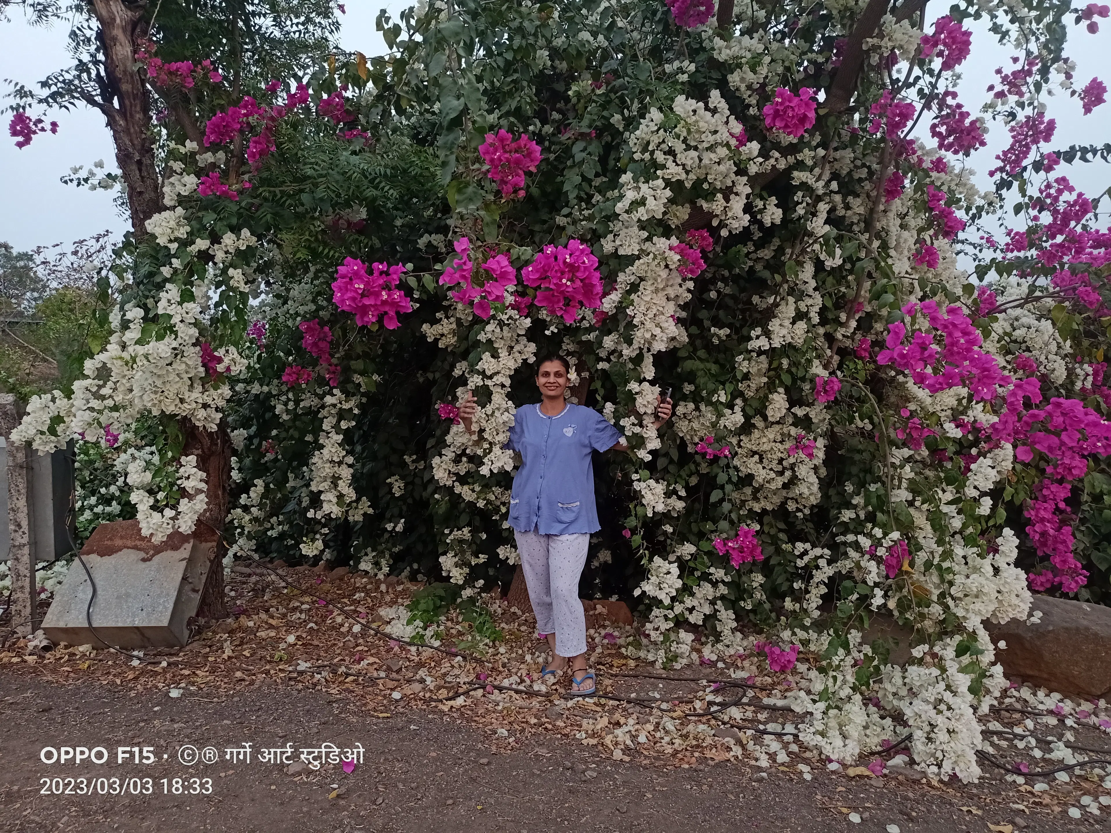 Shreyas
