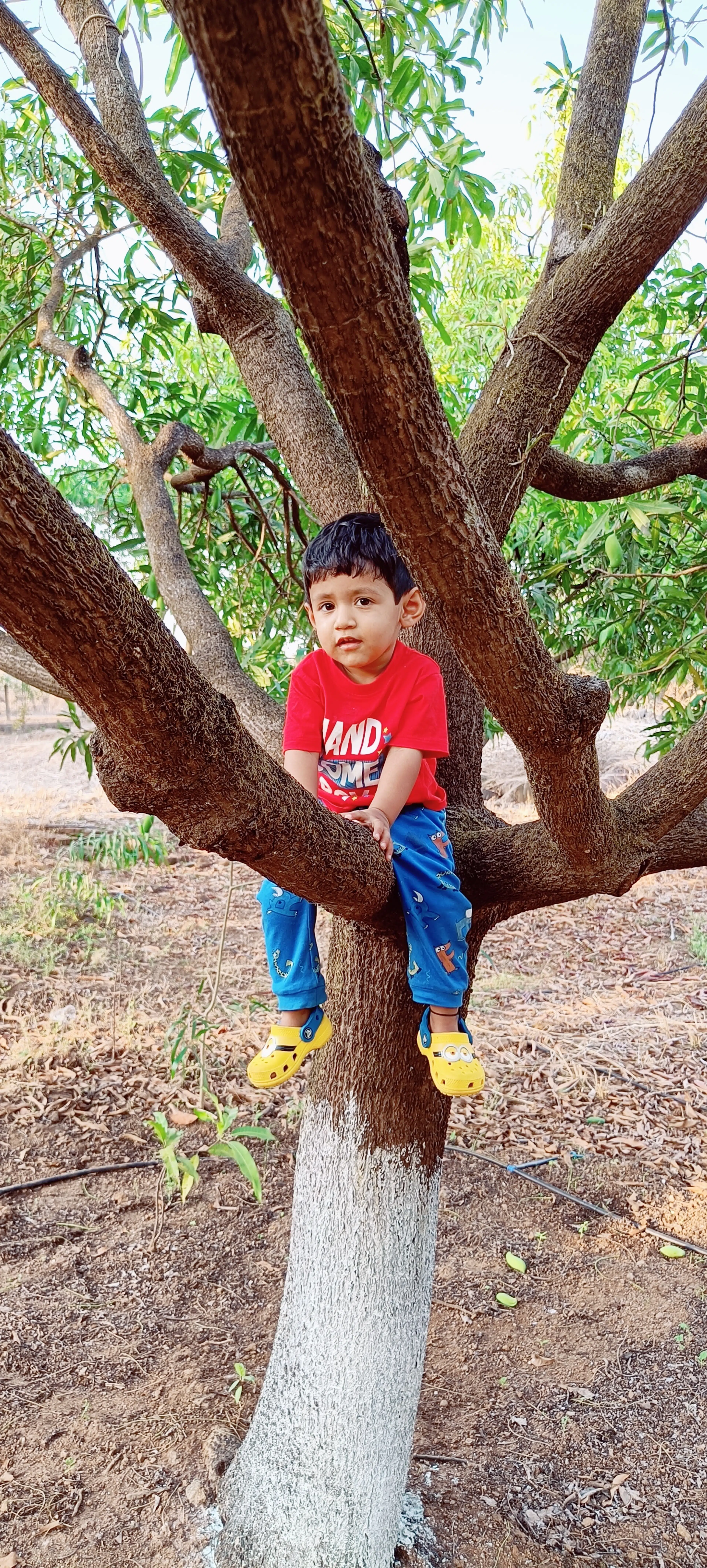 Garima