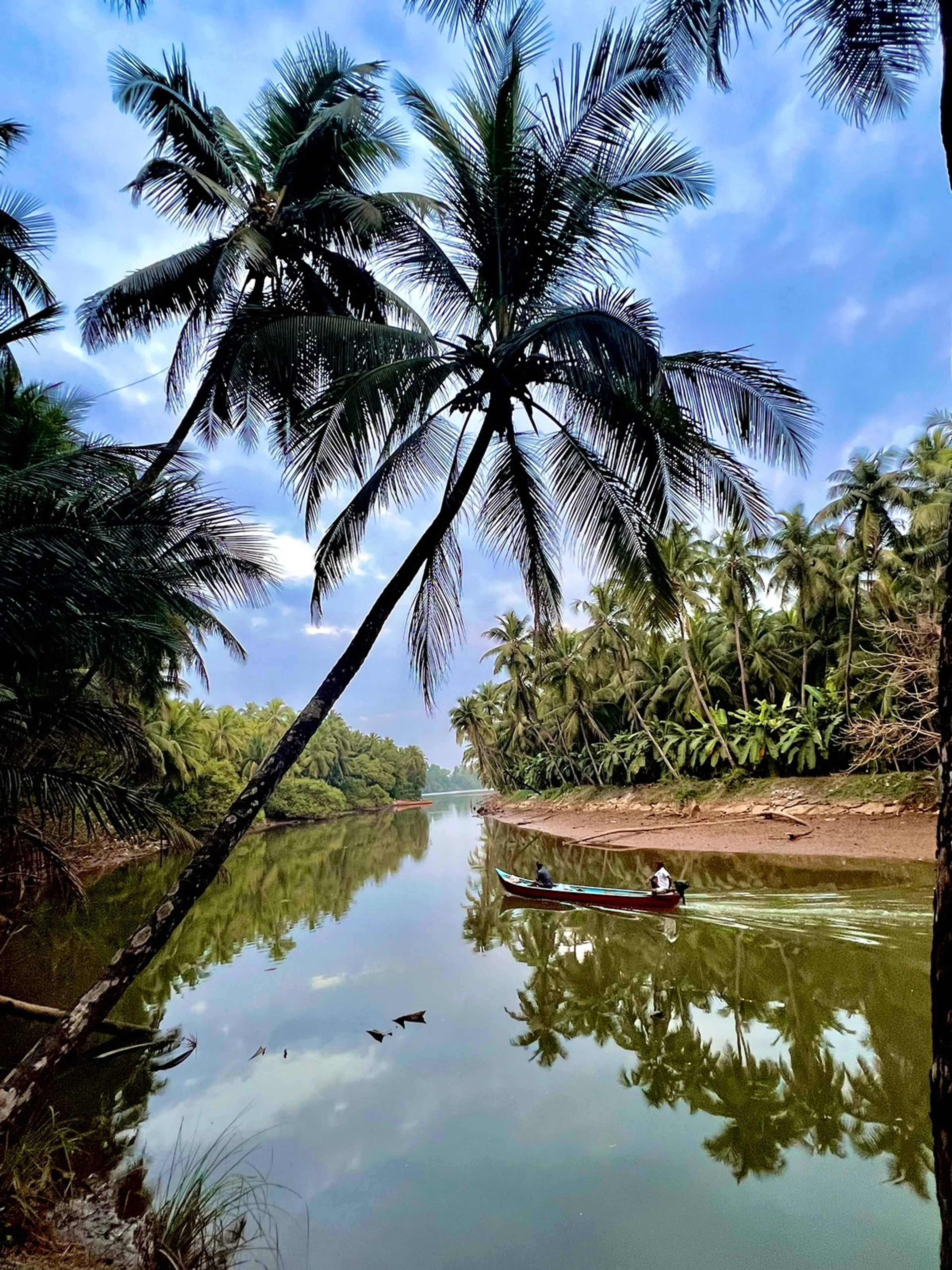  vivek Kumar