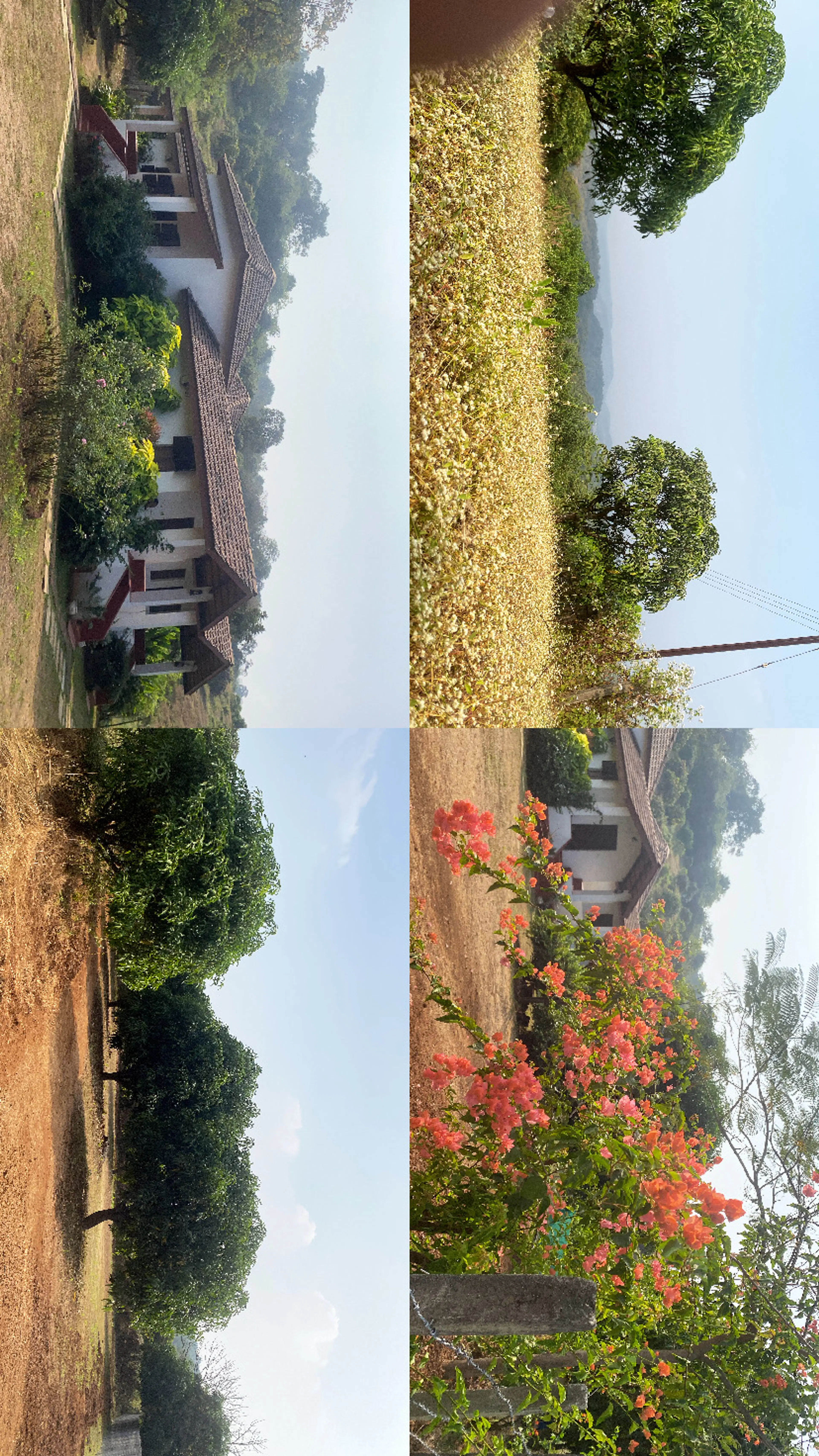 Mounika