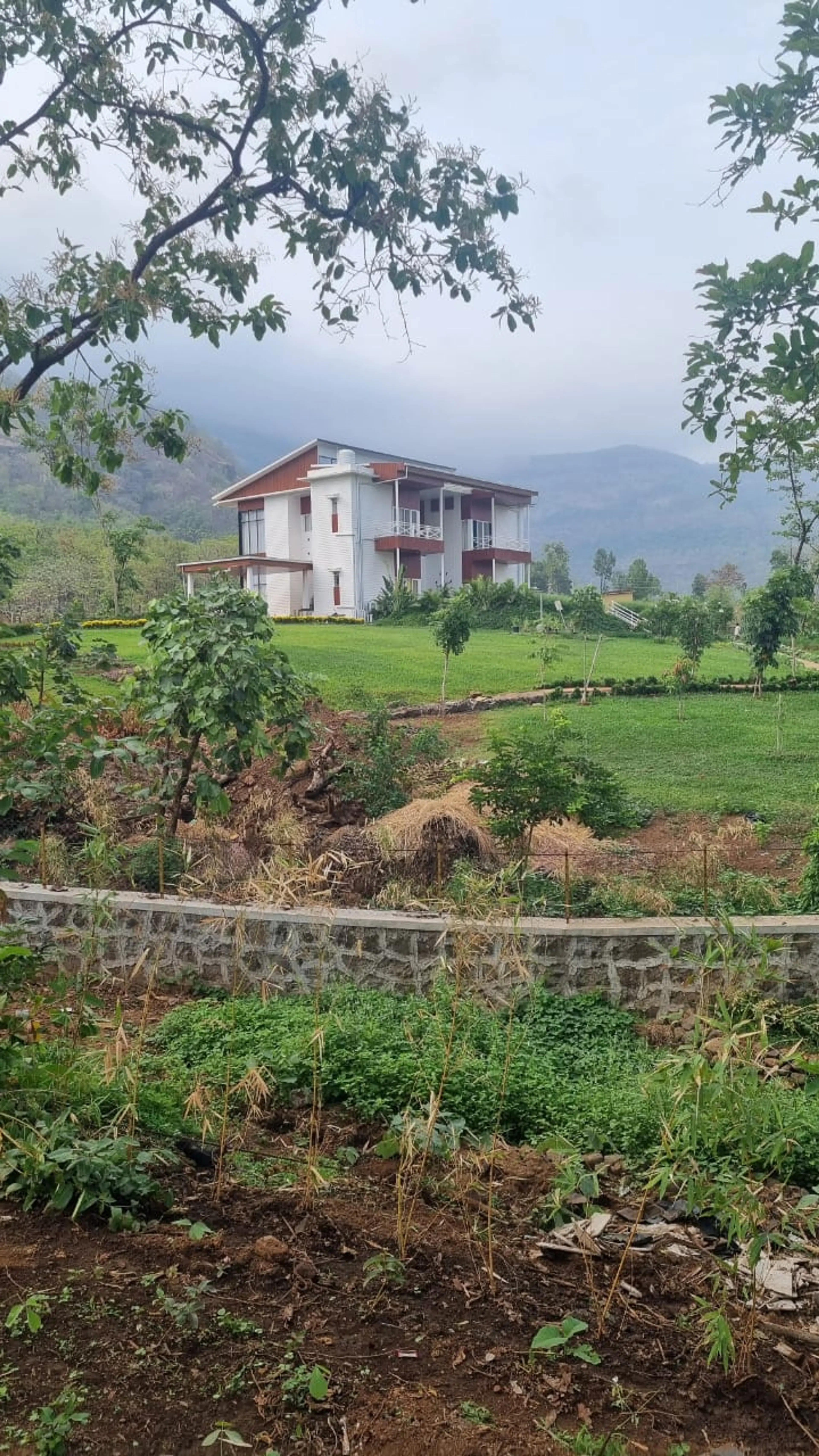 monit Rajwani