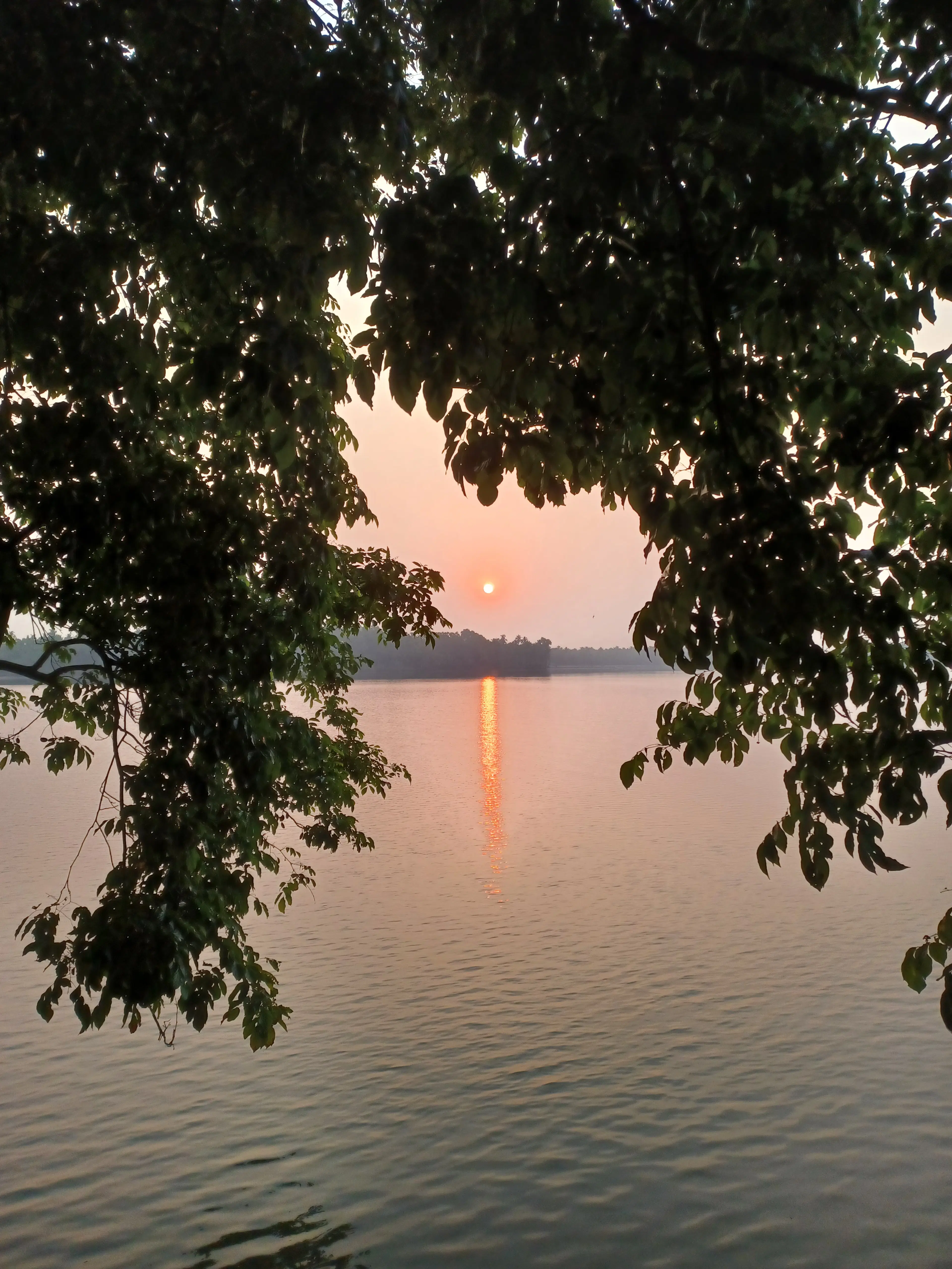 Kiran Belodu