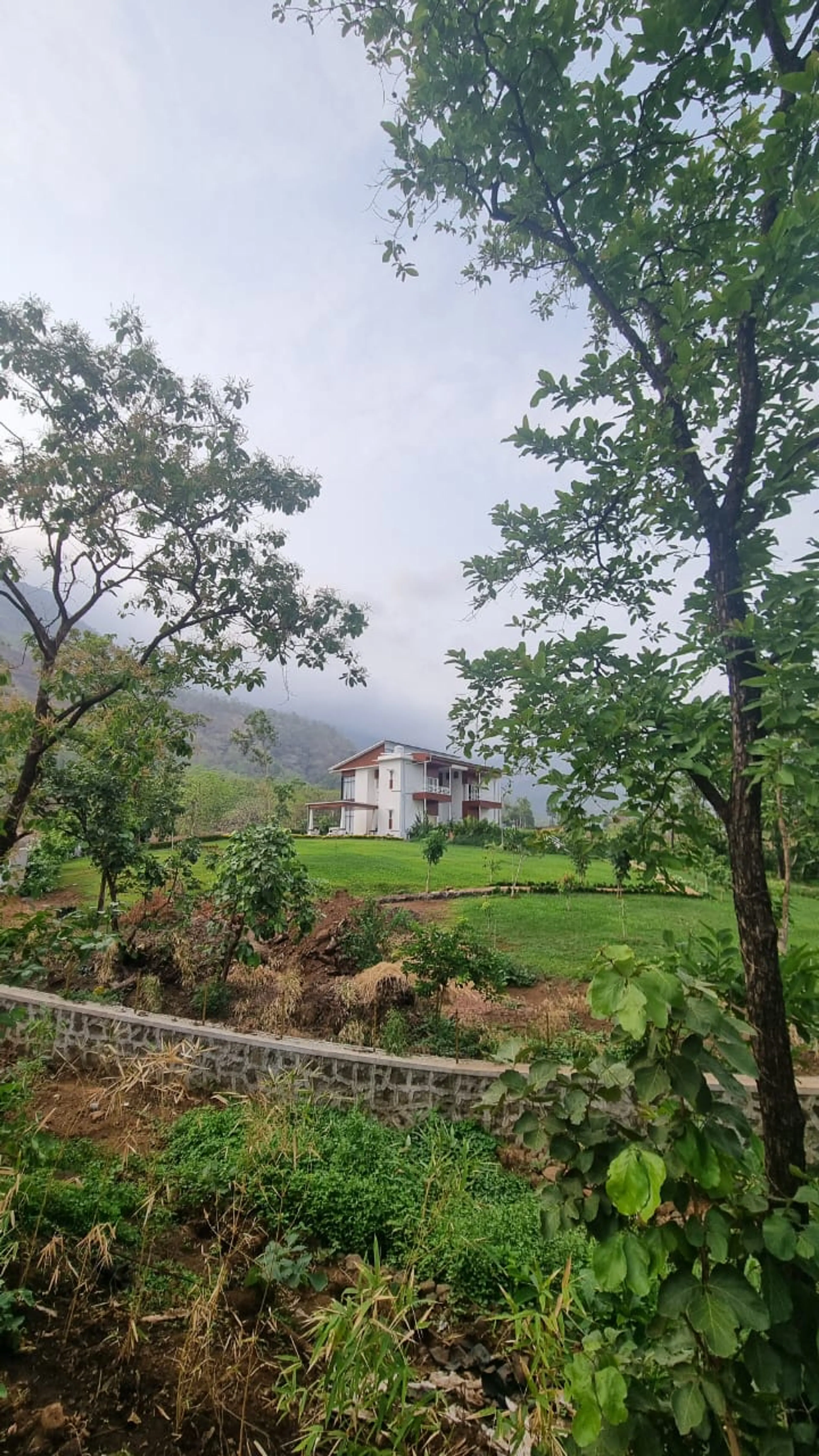 monit Rajwani
