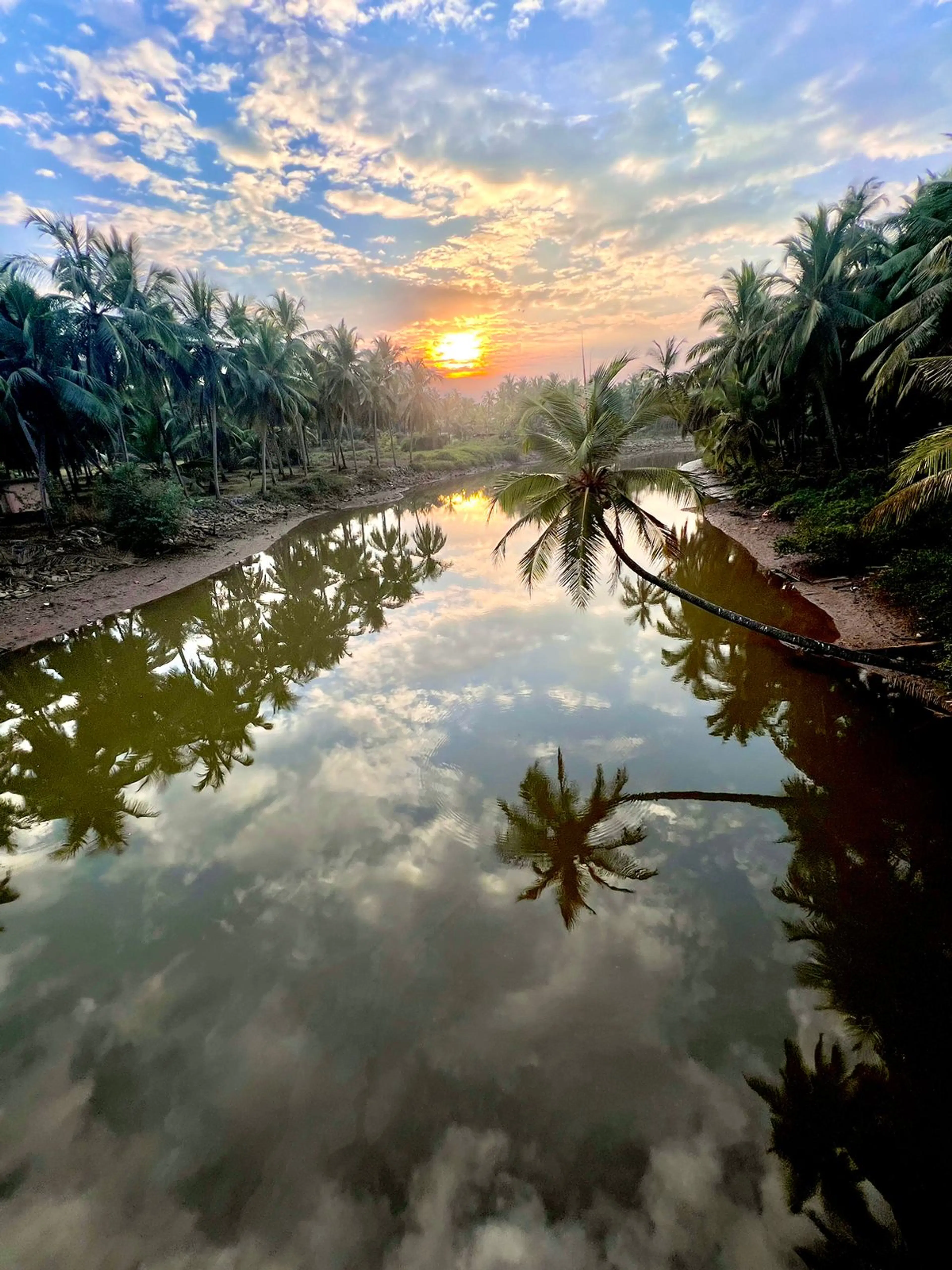 vivek Kumar