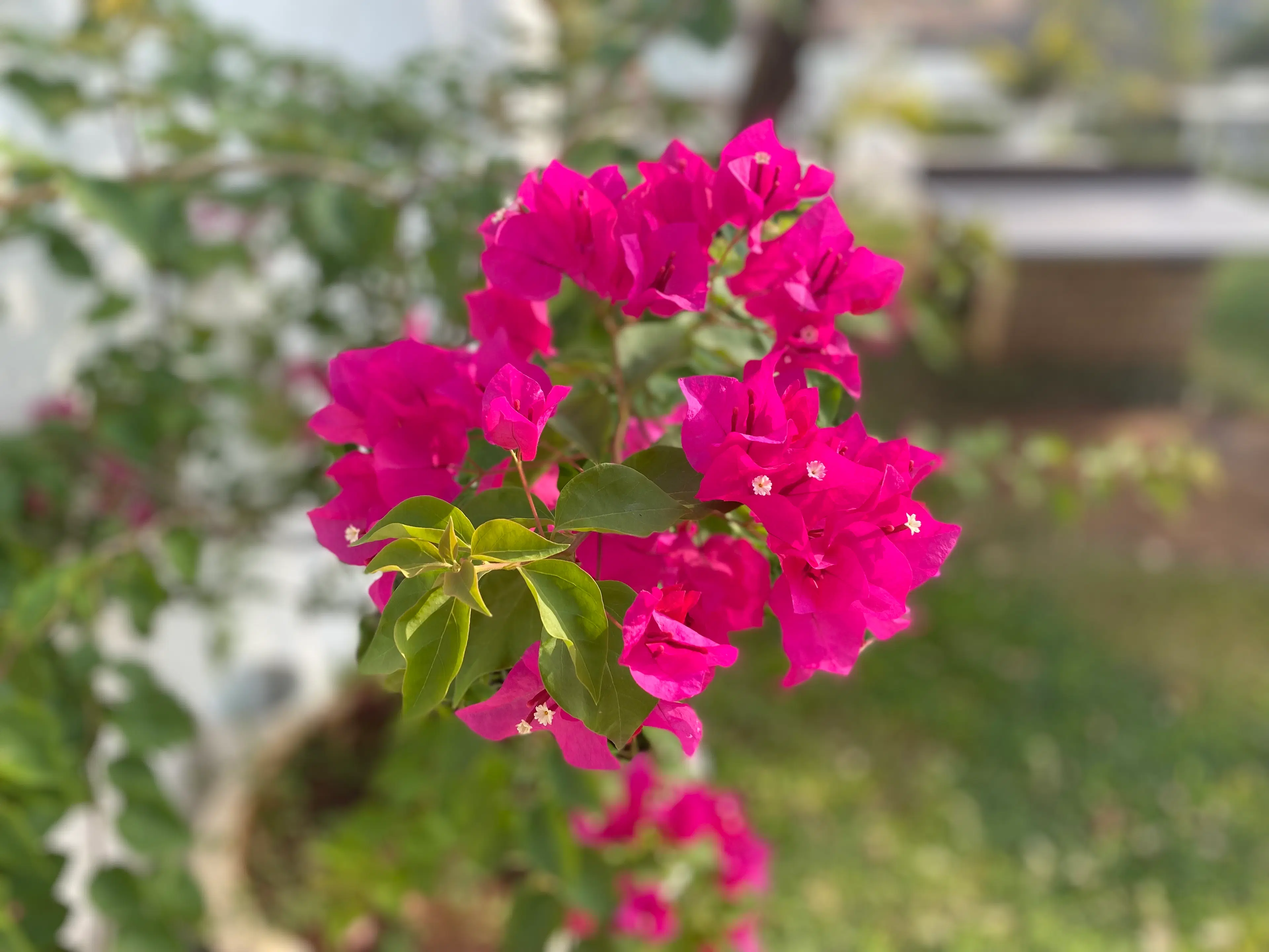 Gaurav Shinde