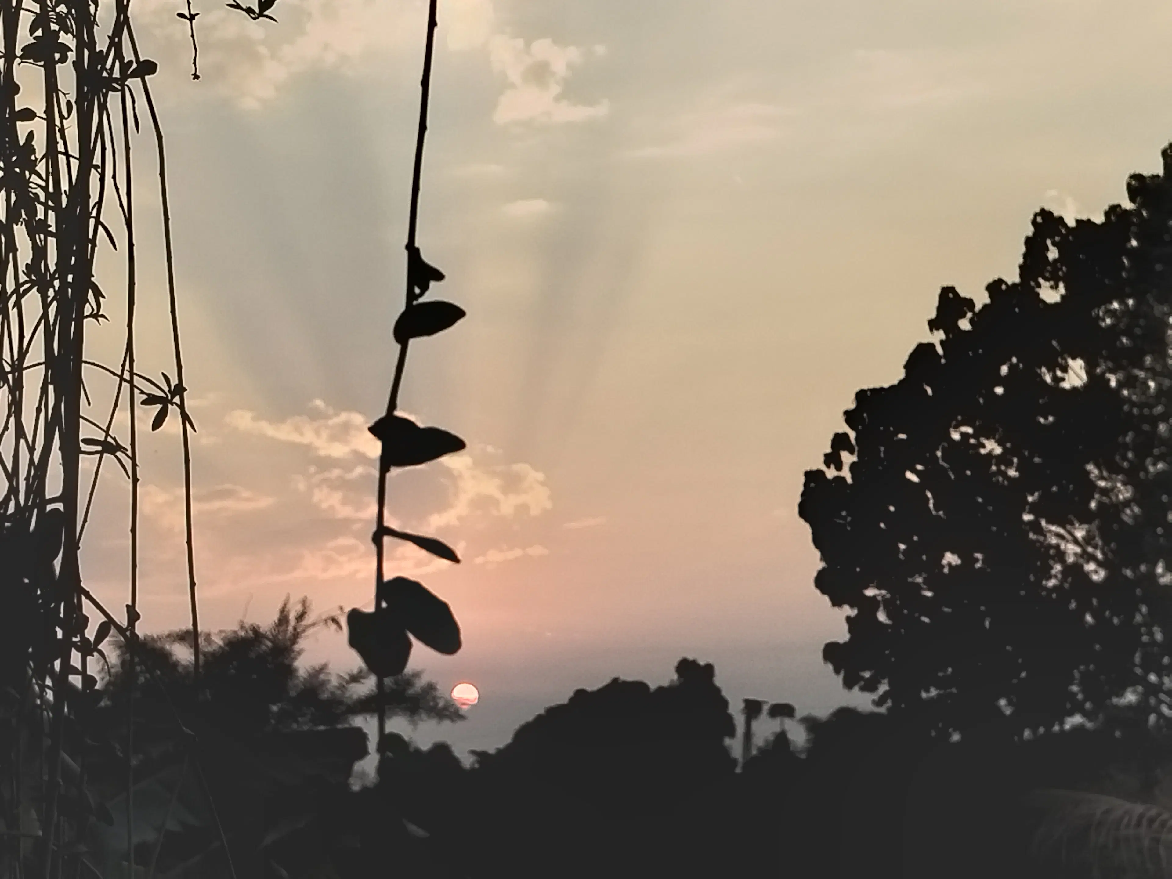  Bbijal Tanna panchmatiya