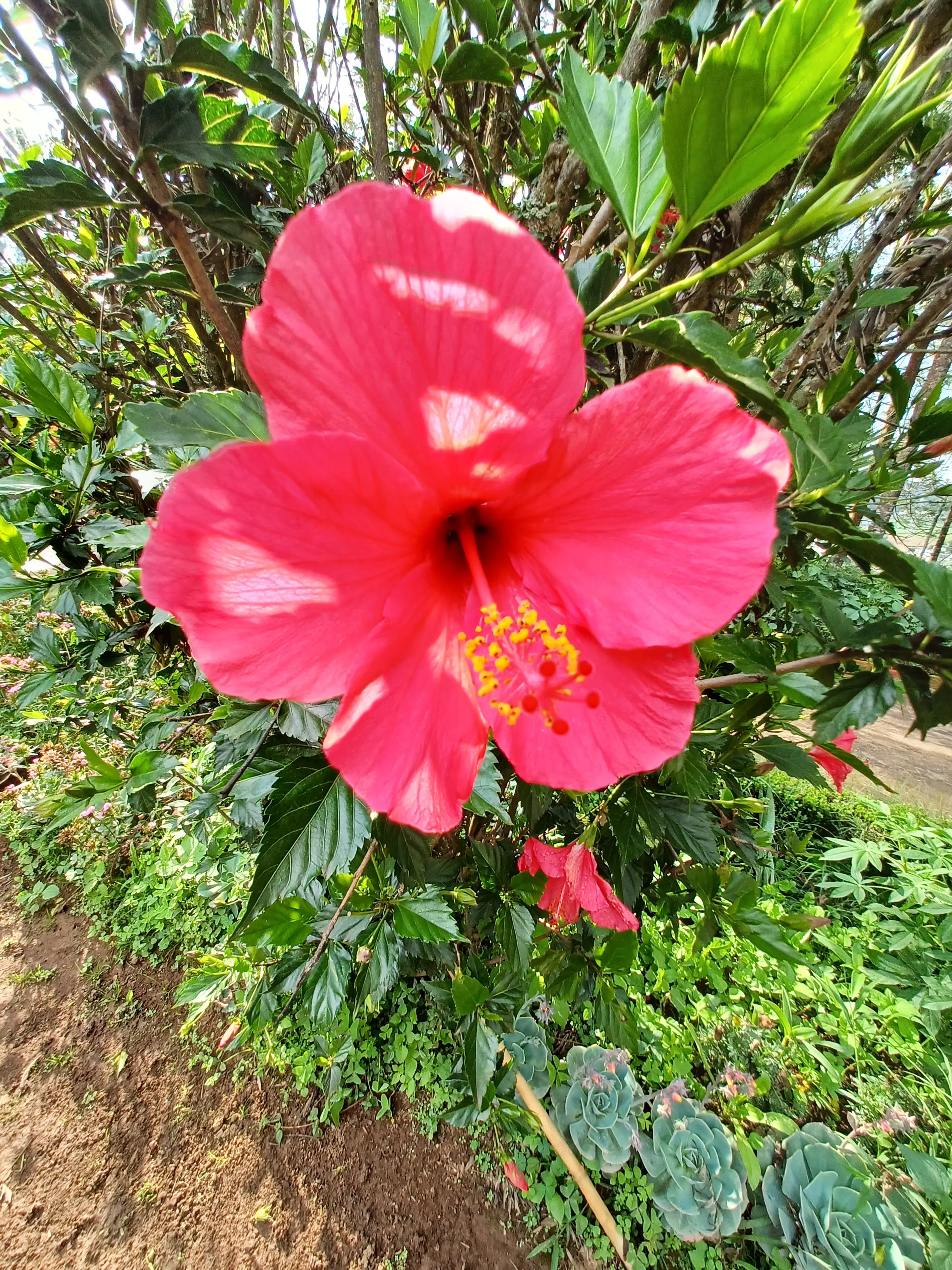 PARITOSH