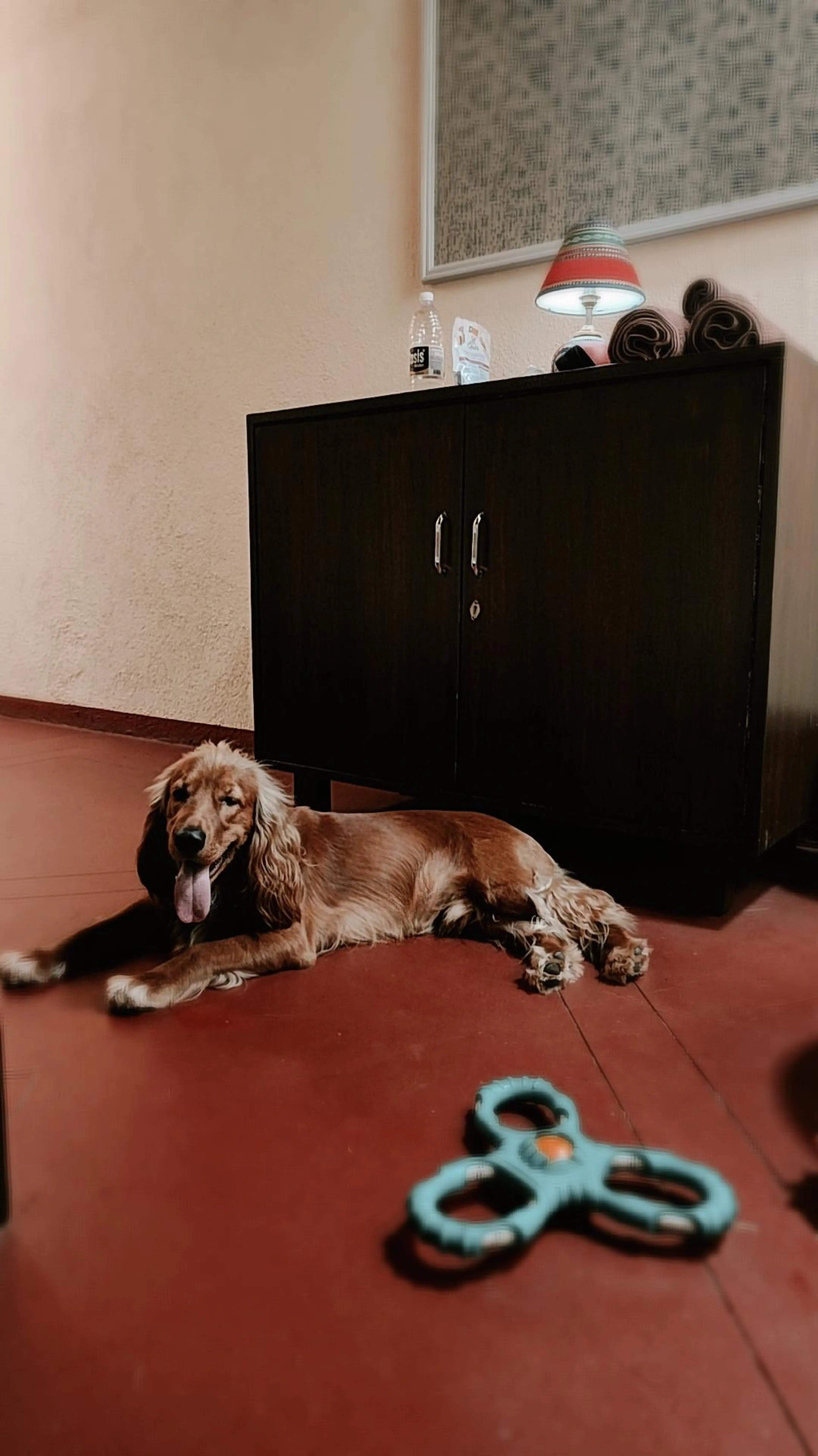netra murbadkar