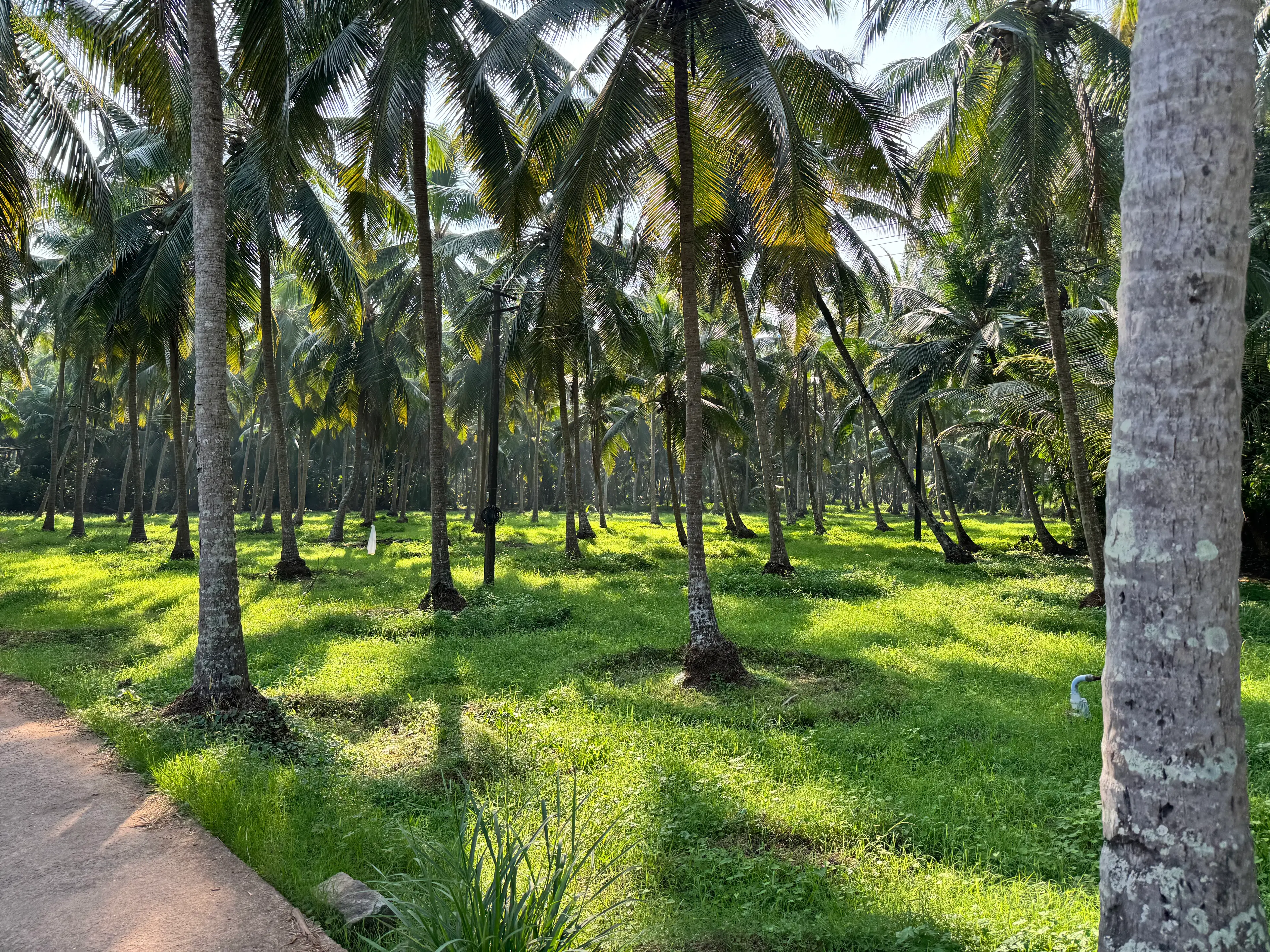 Darshan