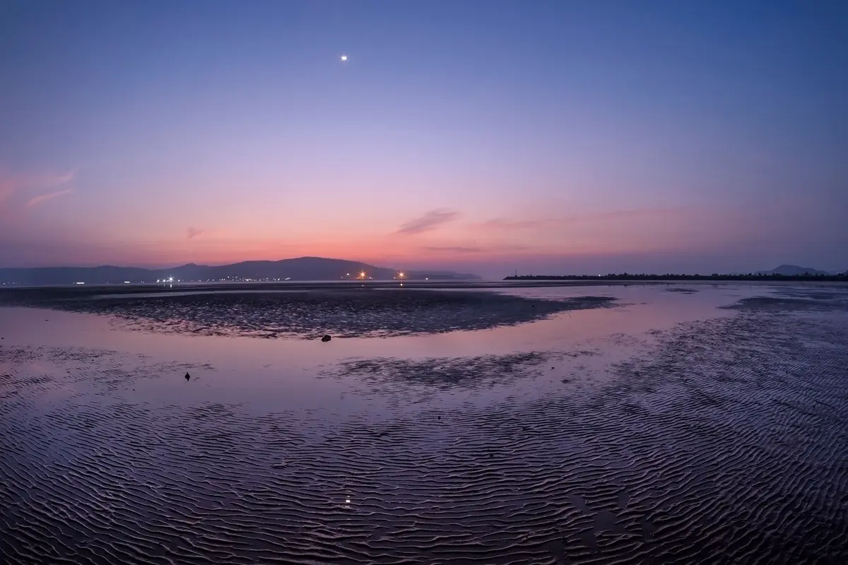 Stroll along the serene beach under the moonlit sky.