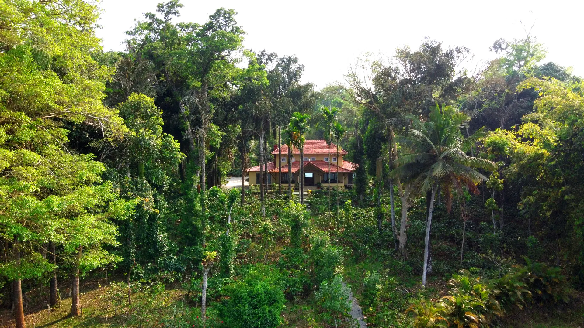 Image 26 of the property