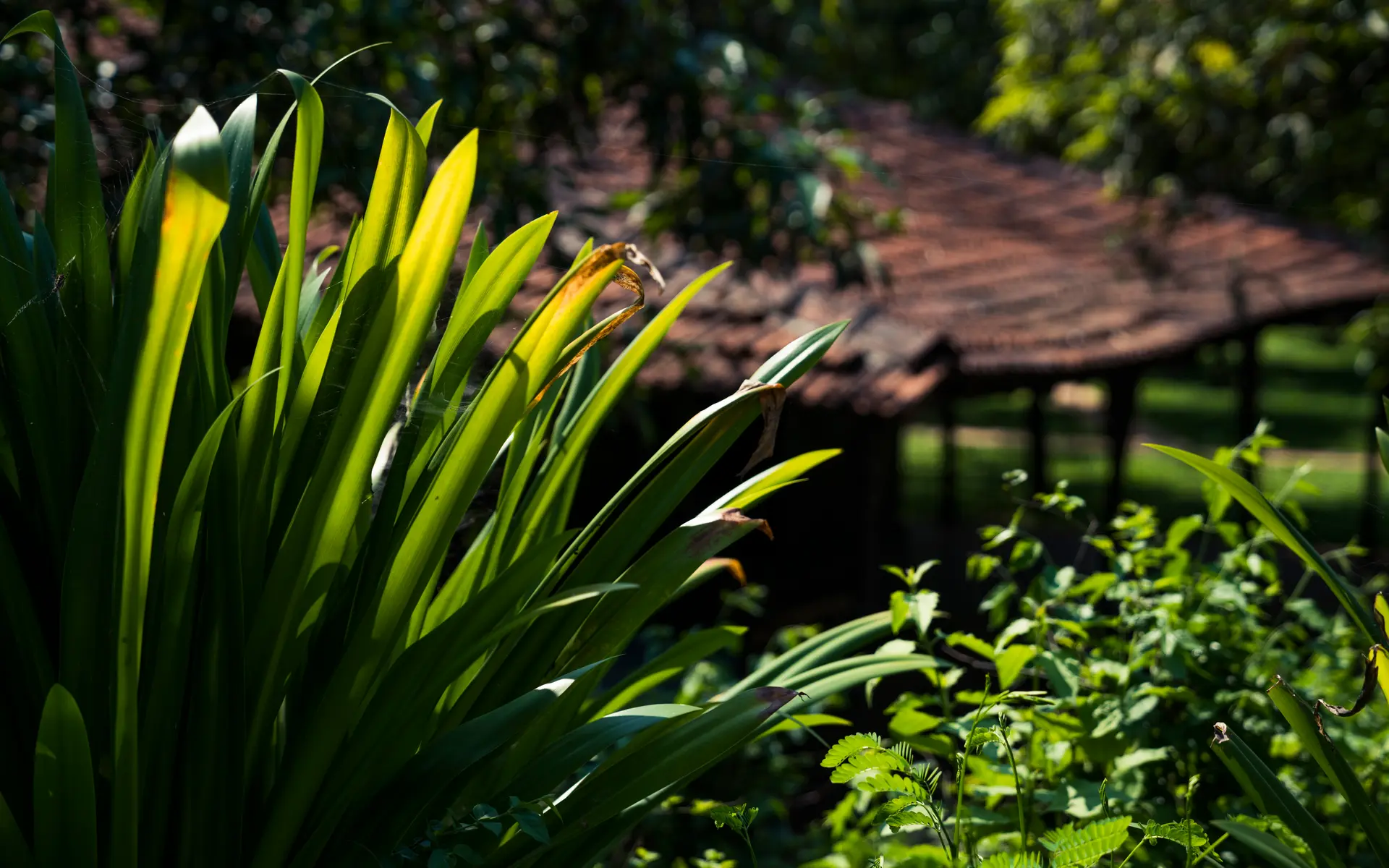 Image 5 of the property